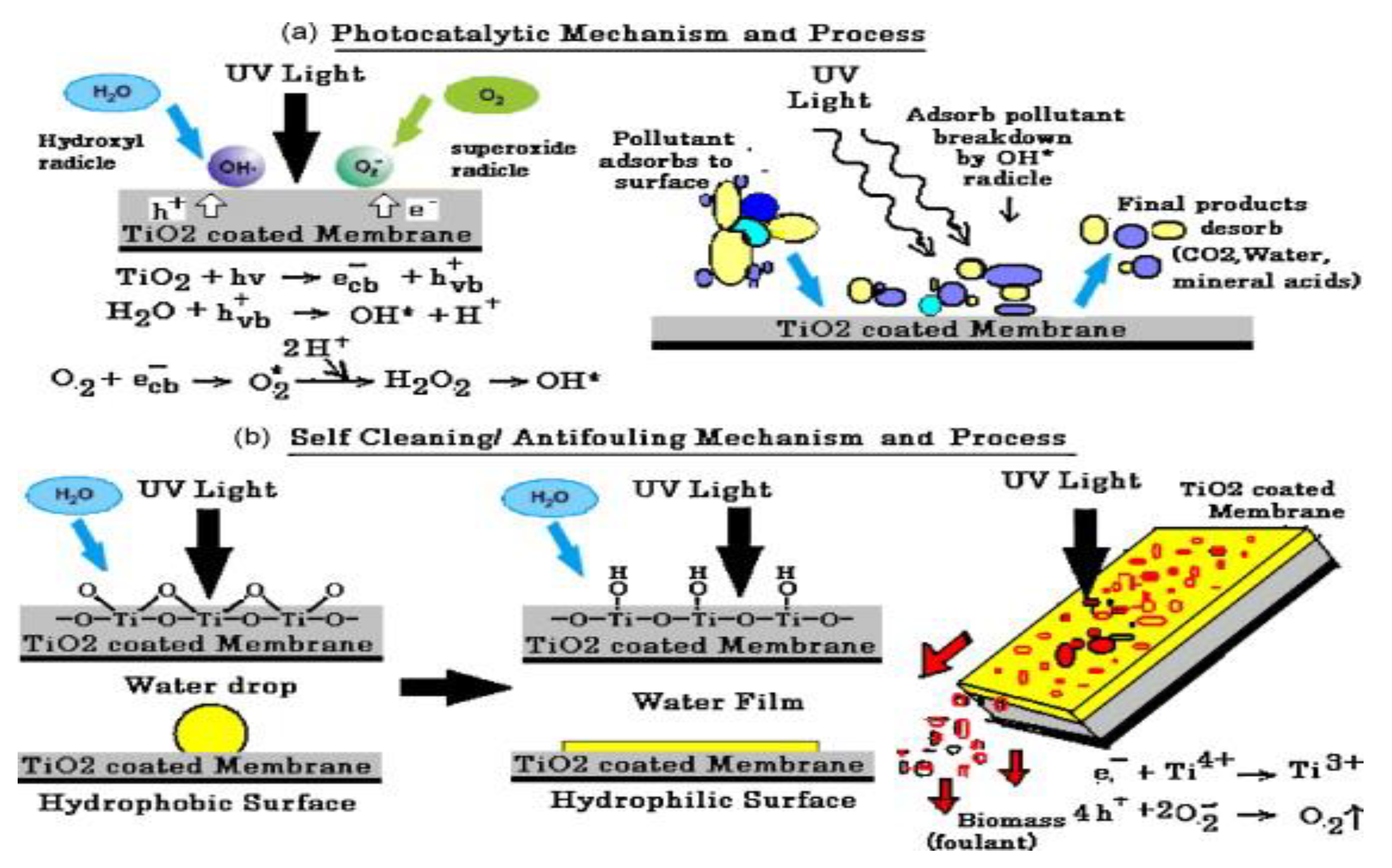 Materials 13 03511 g011 Materials 13 03511 g011
