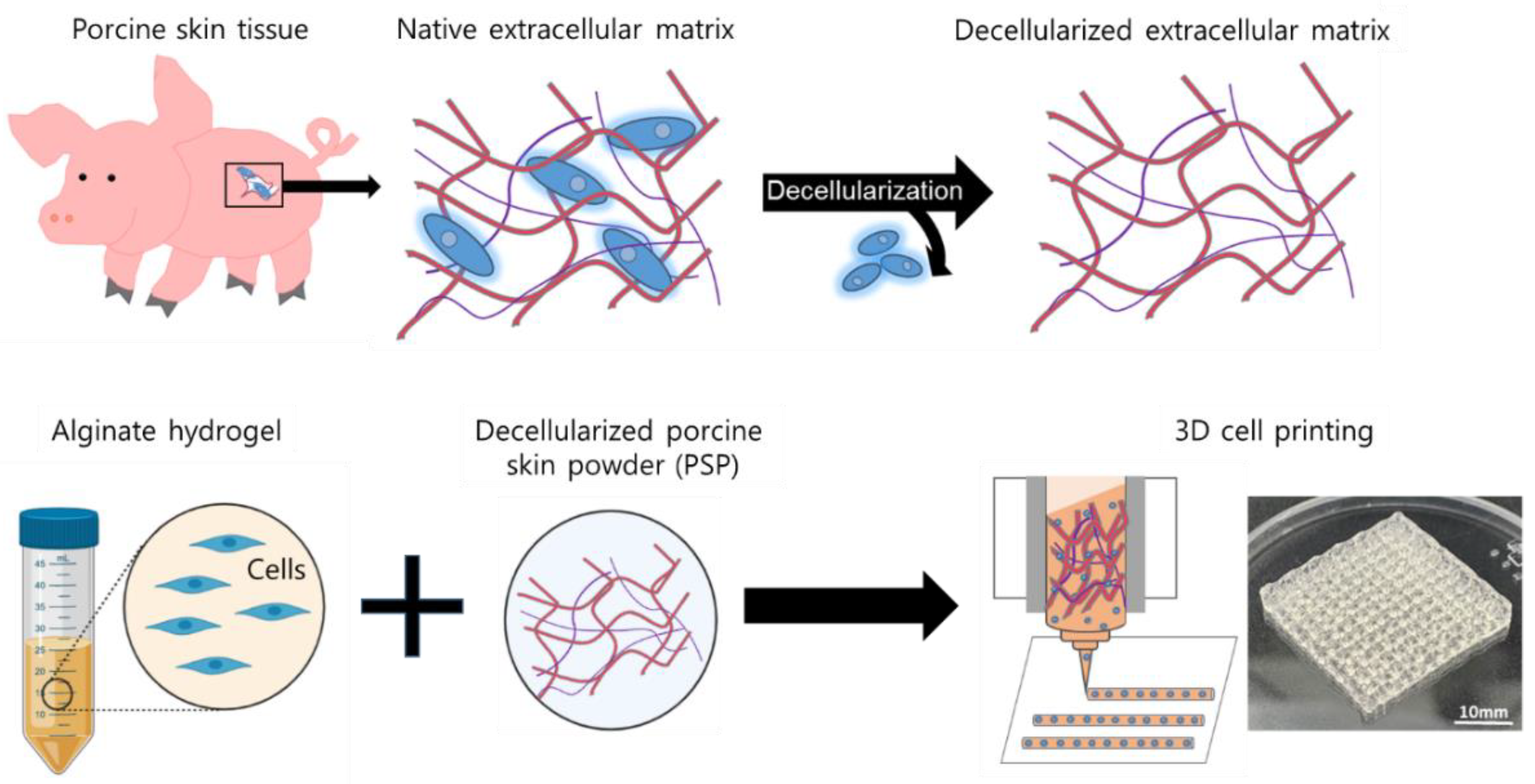 Materials 13 03522 sch001