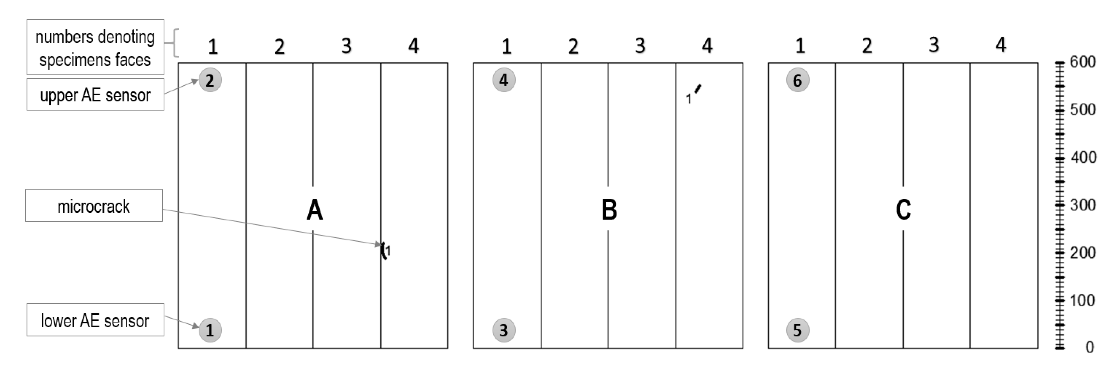 Materials 13 03523 g011
