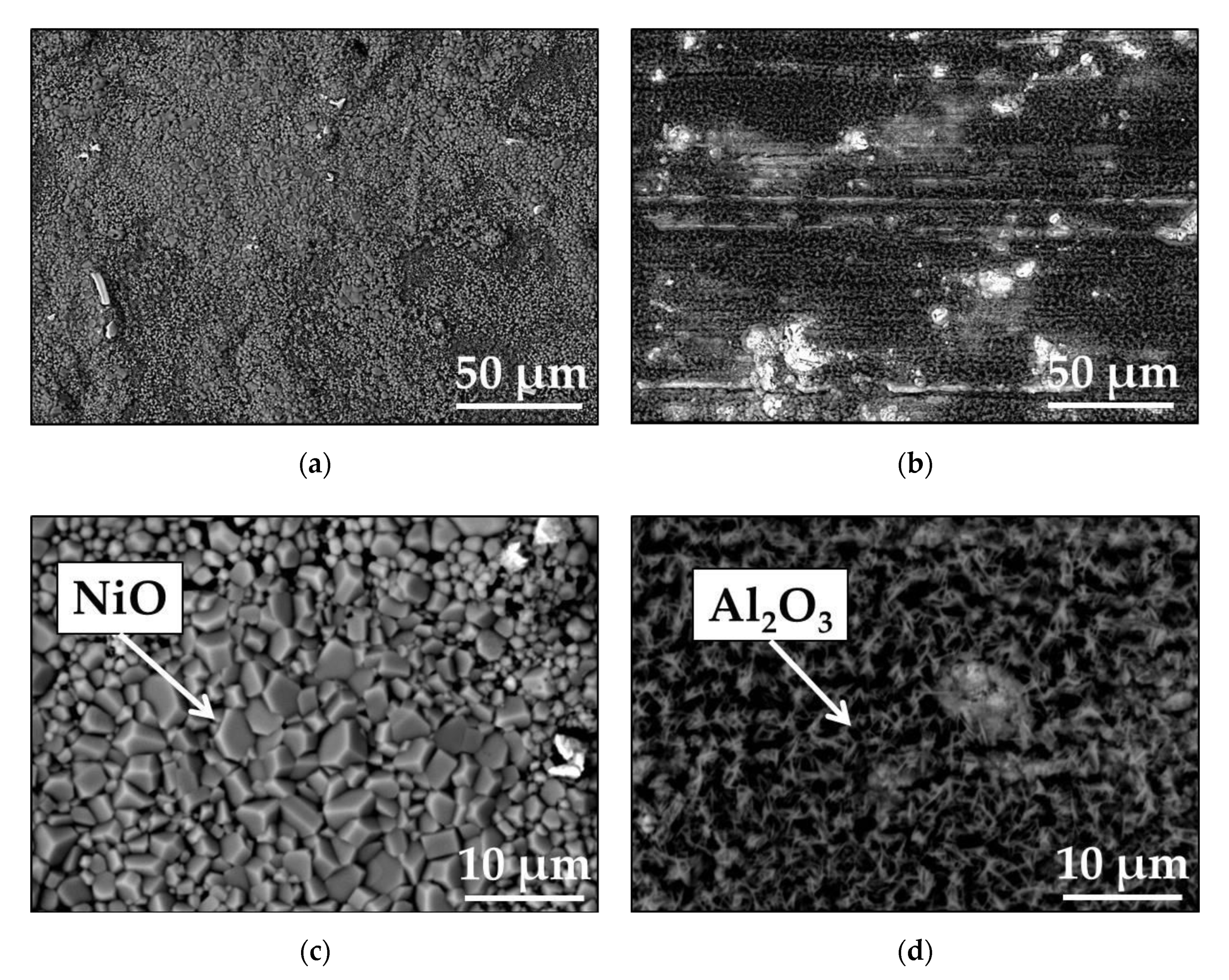 Materials 13 03529 g002