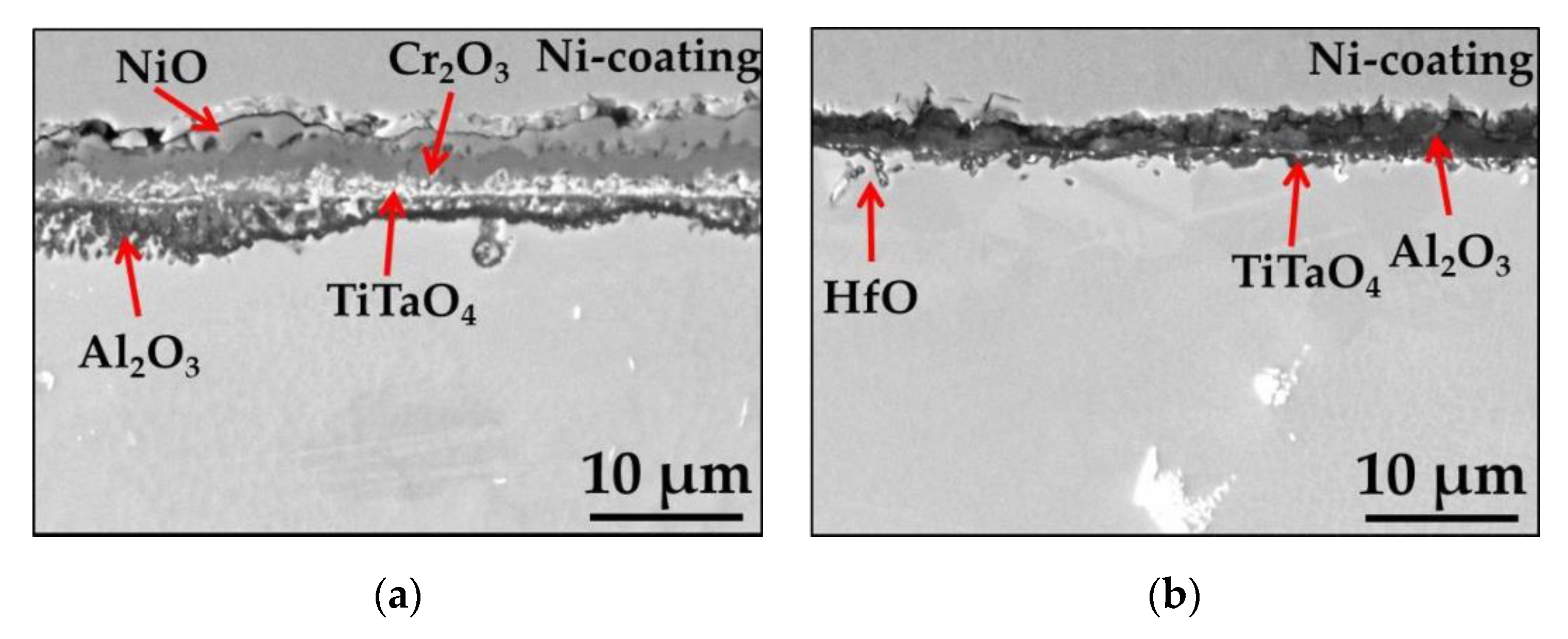 Materials 13 03529 g004