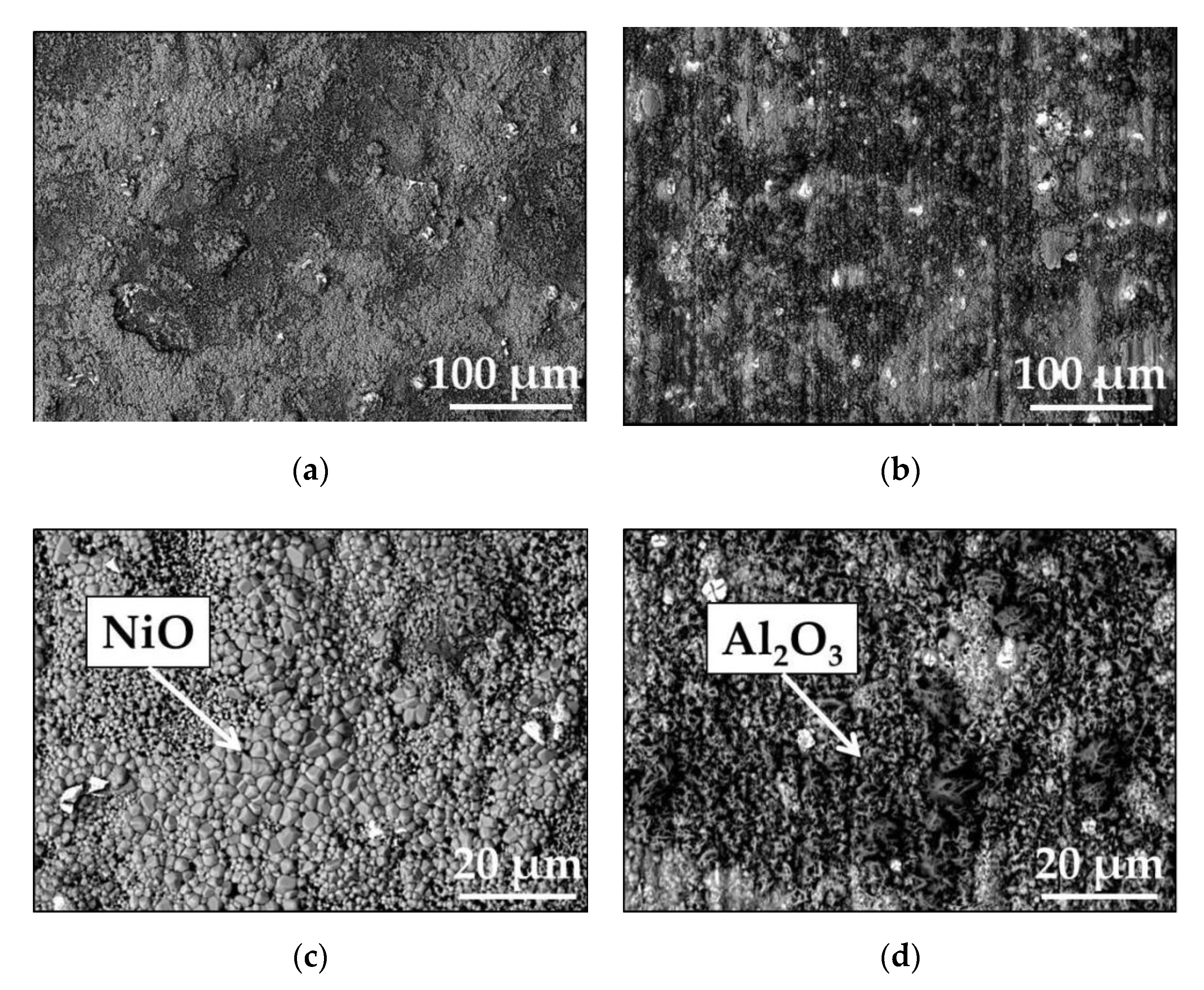 Materials 13 03529 g006