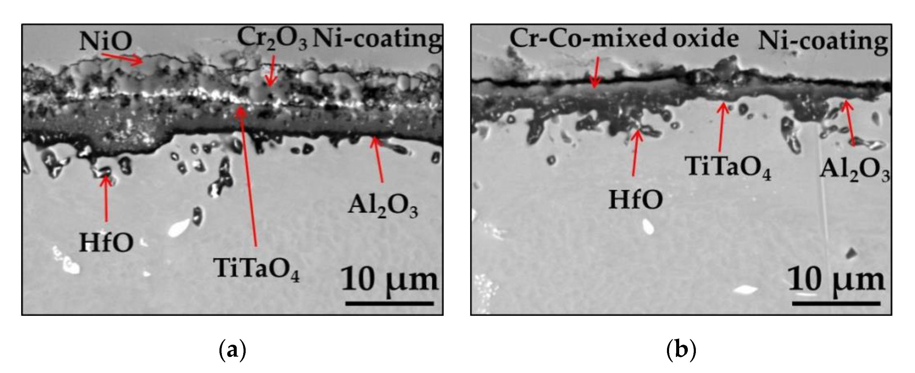 Materials 13 03529 g007