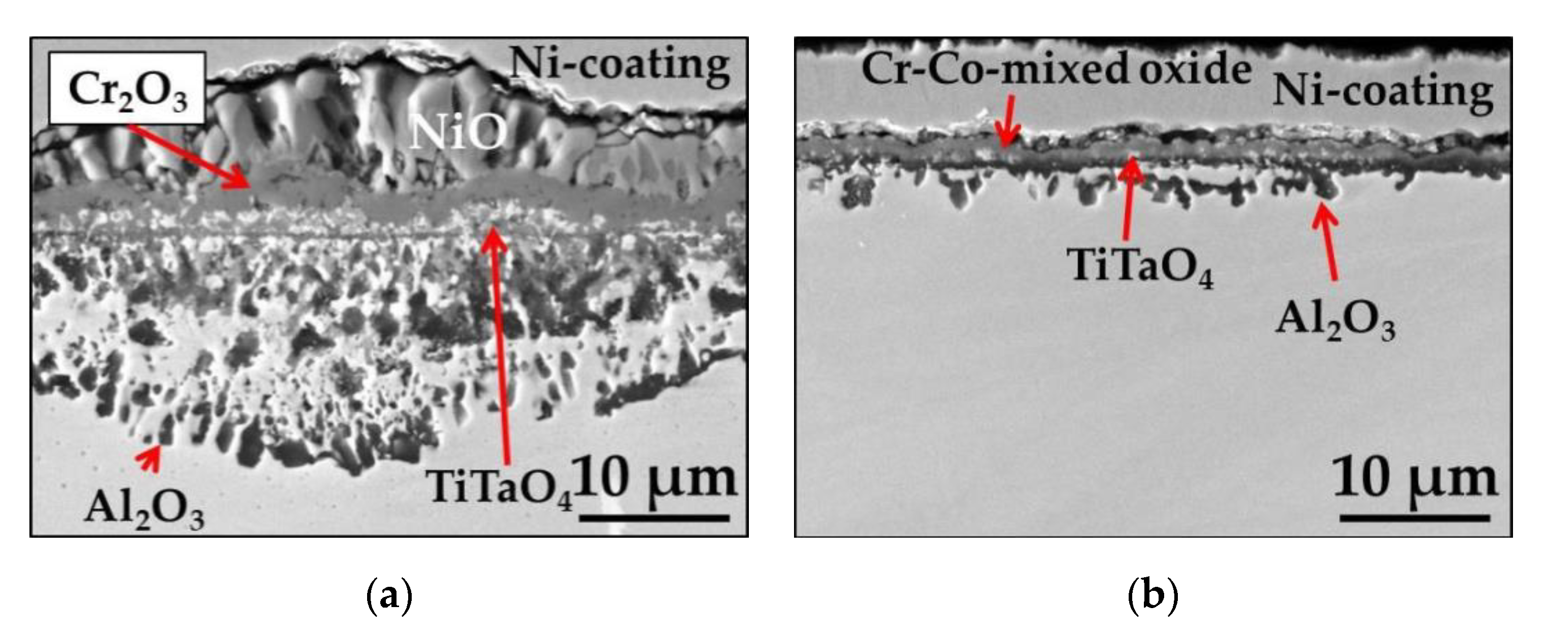 Materials 13 03529 g009