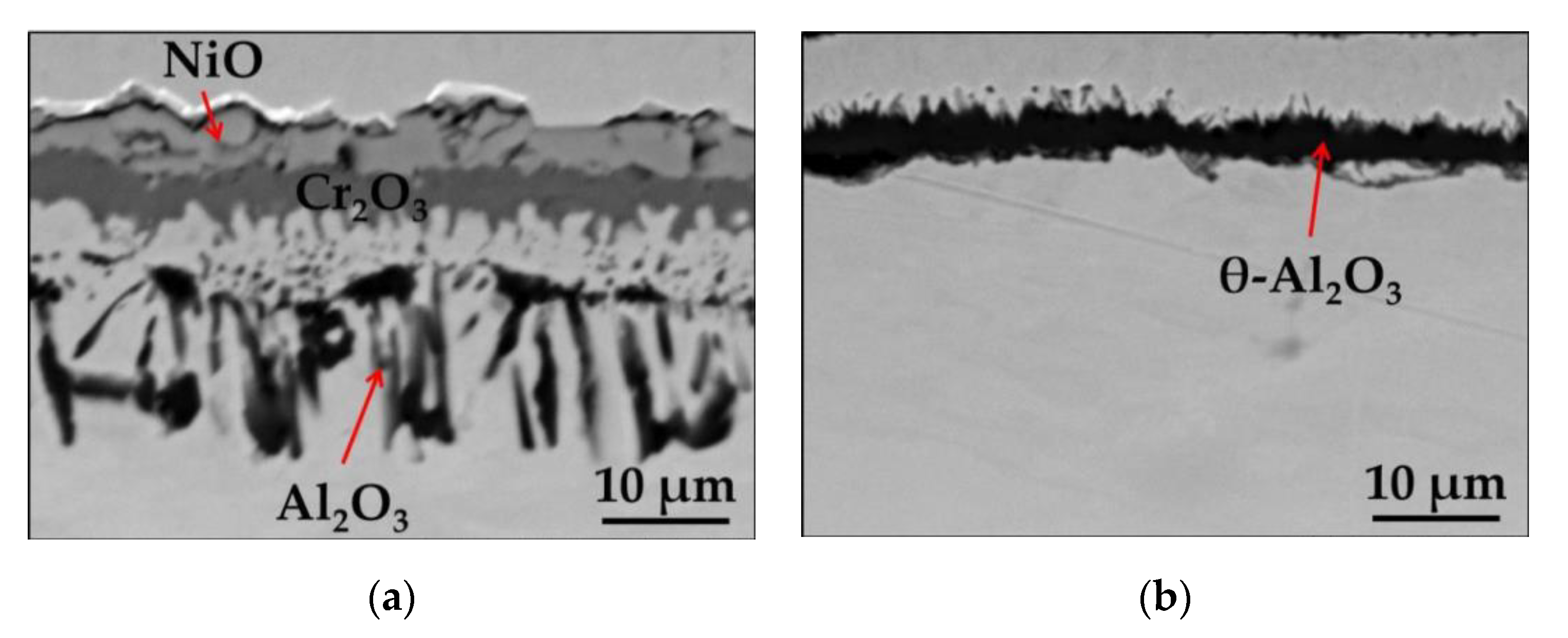 Materials 13 03529 g010