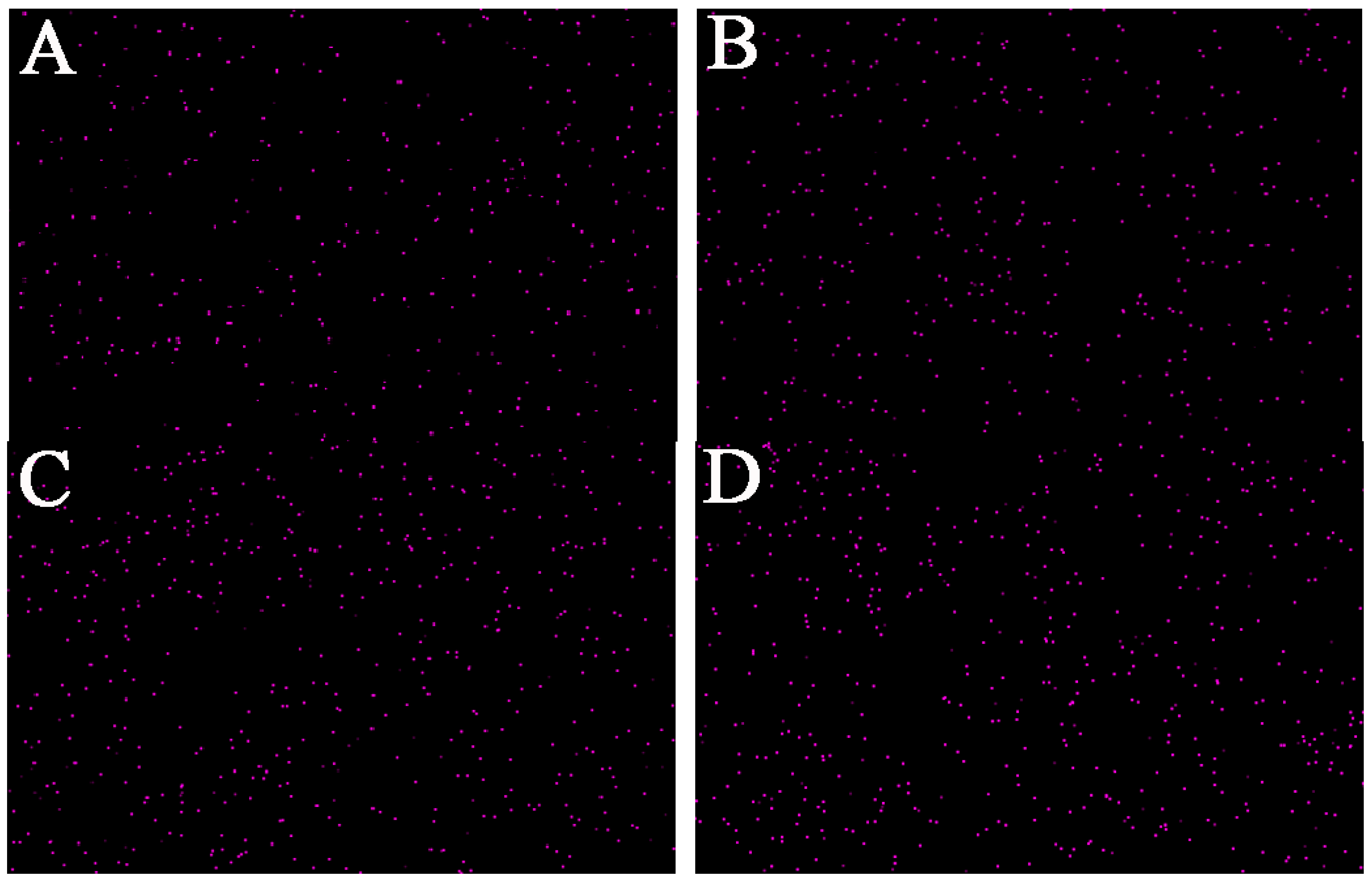 Materials 13 03550 g003 Materials 13 03550 g003