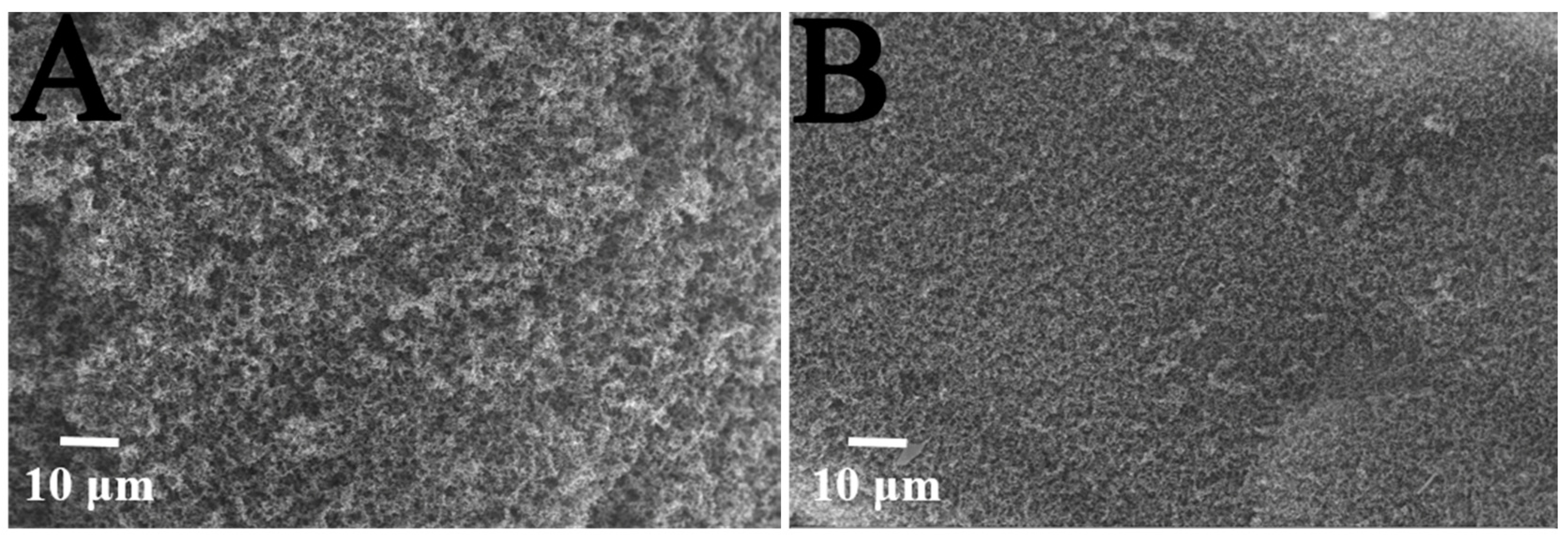 Materials 13 03550 g011a Materials 13 03550 g011a