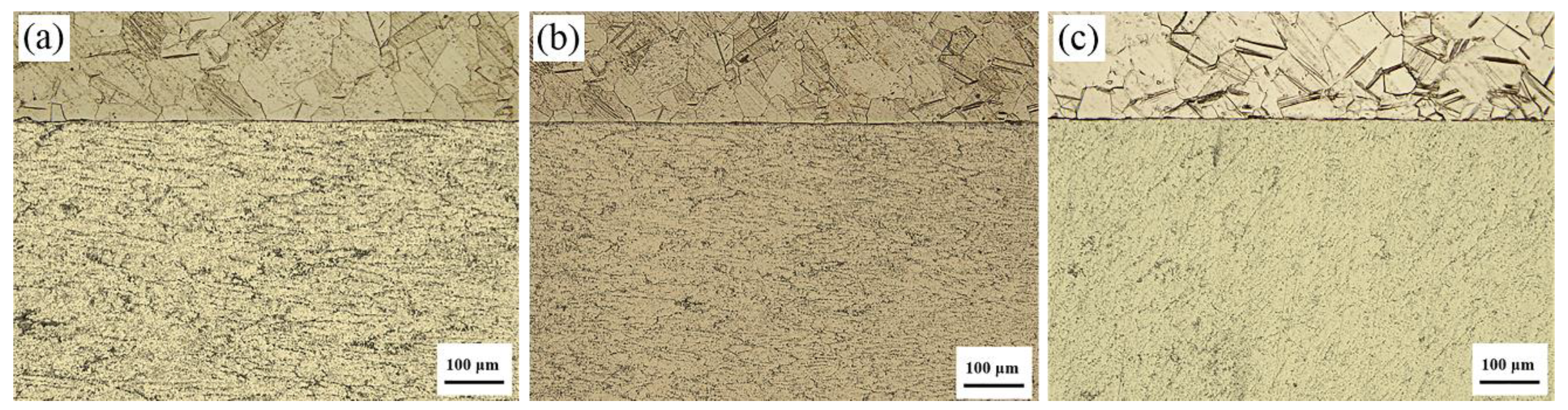 Materials 13 03556 g003