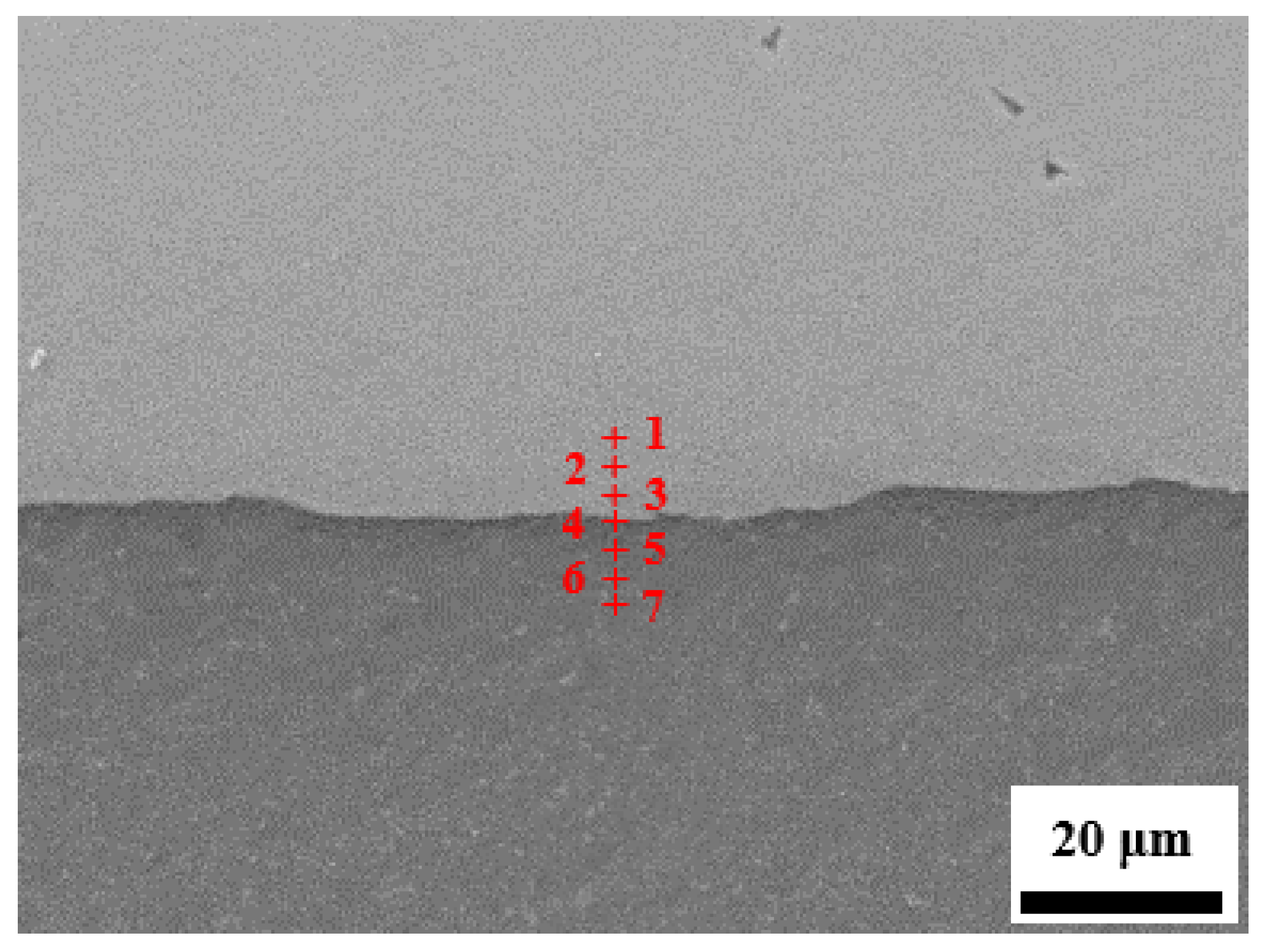 Materials 13 03556 g006