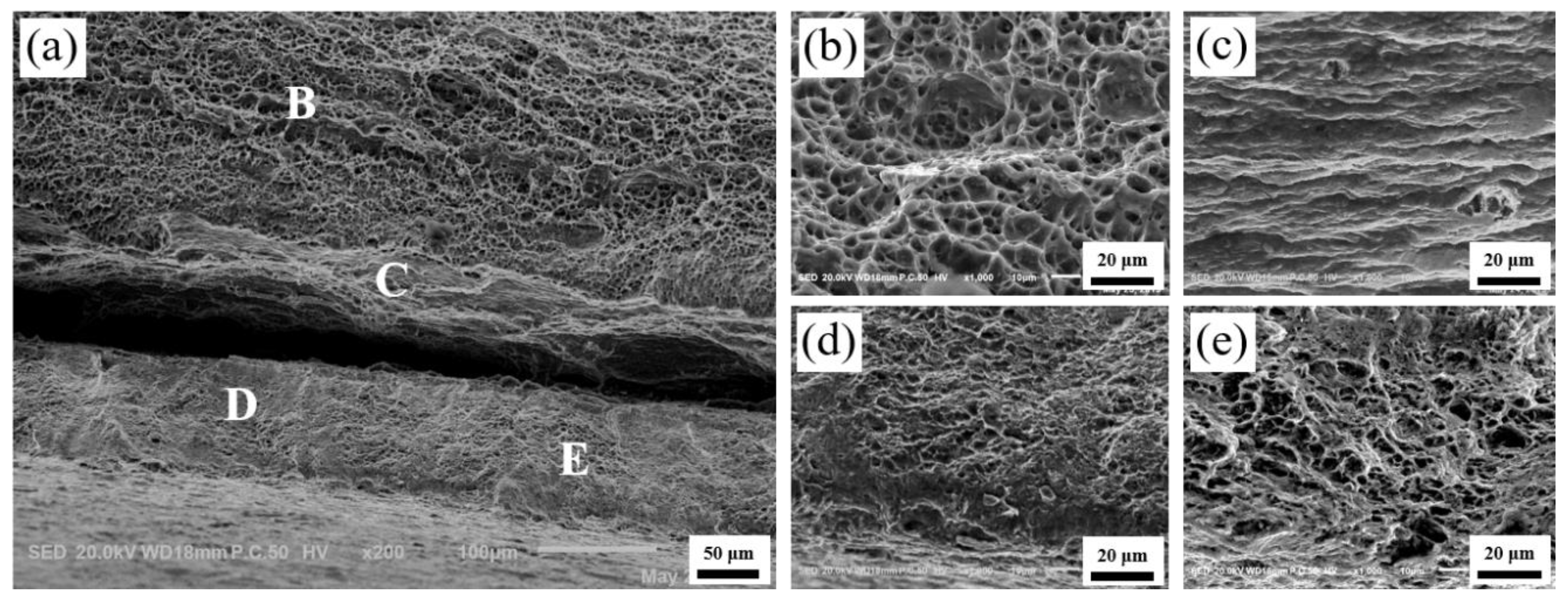 Materials 13 03556 g013