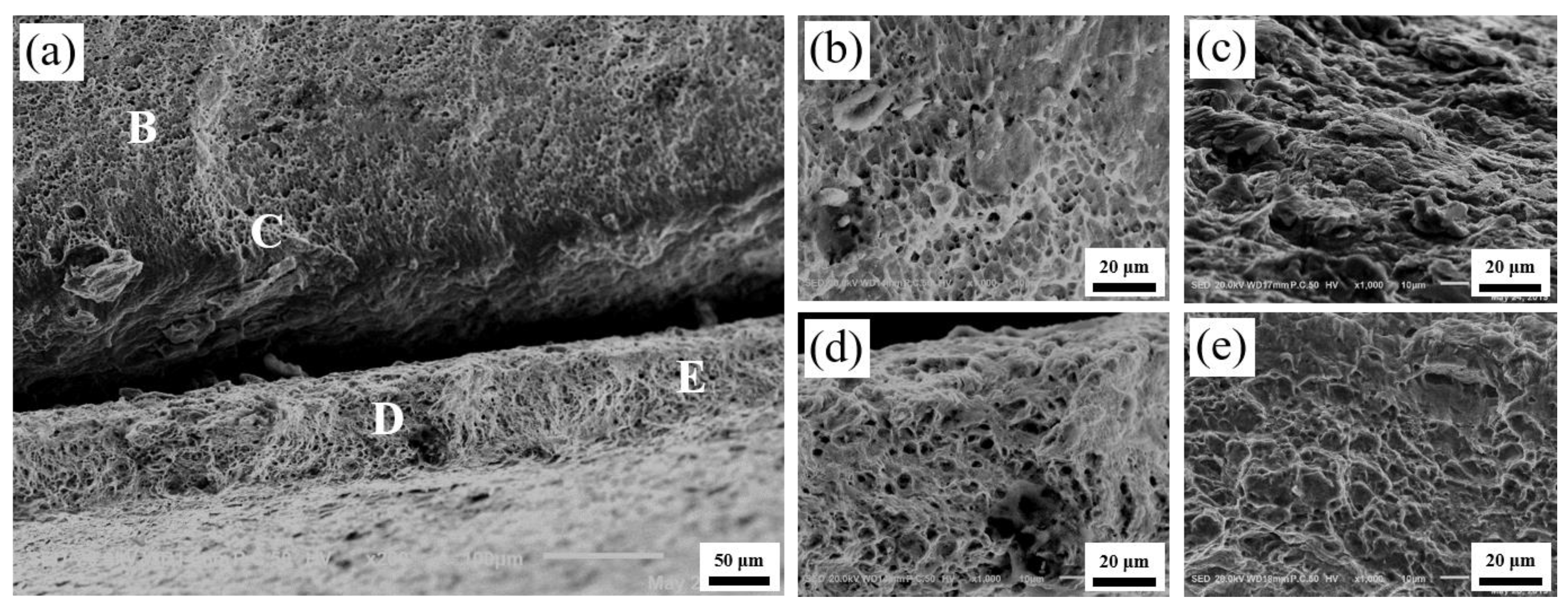 Materials 13 03556 g014
