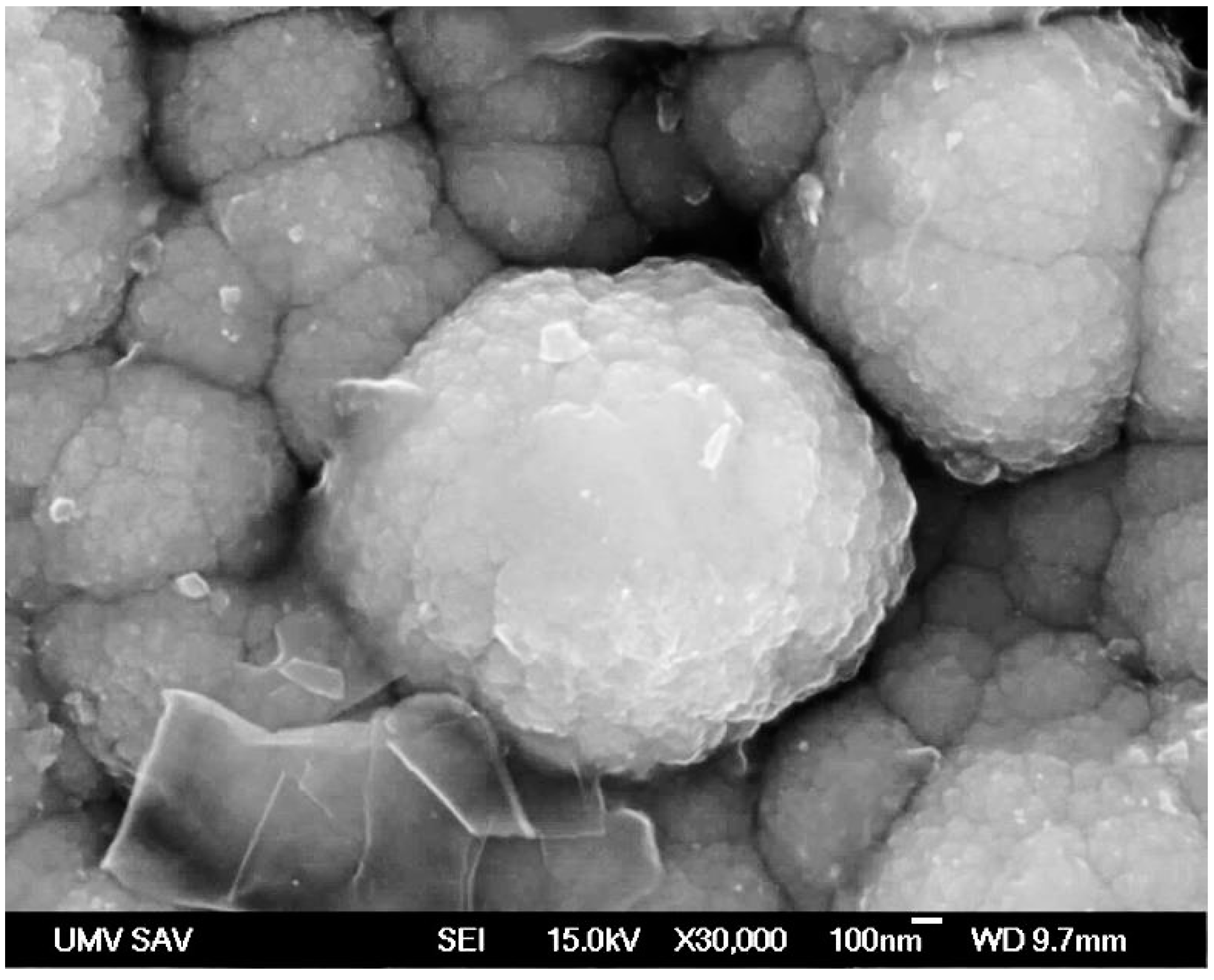 Materials 13 03576 g001 Materials 13 03576 g001