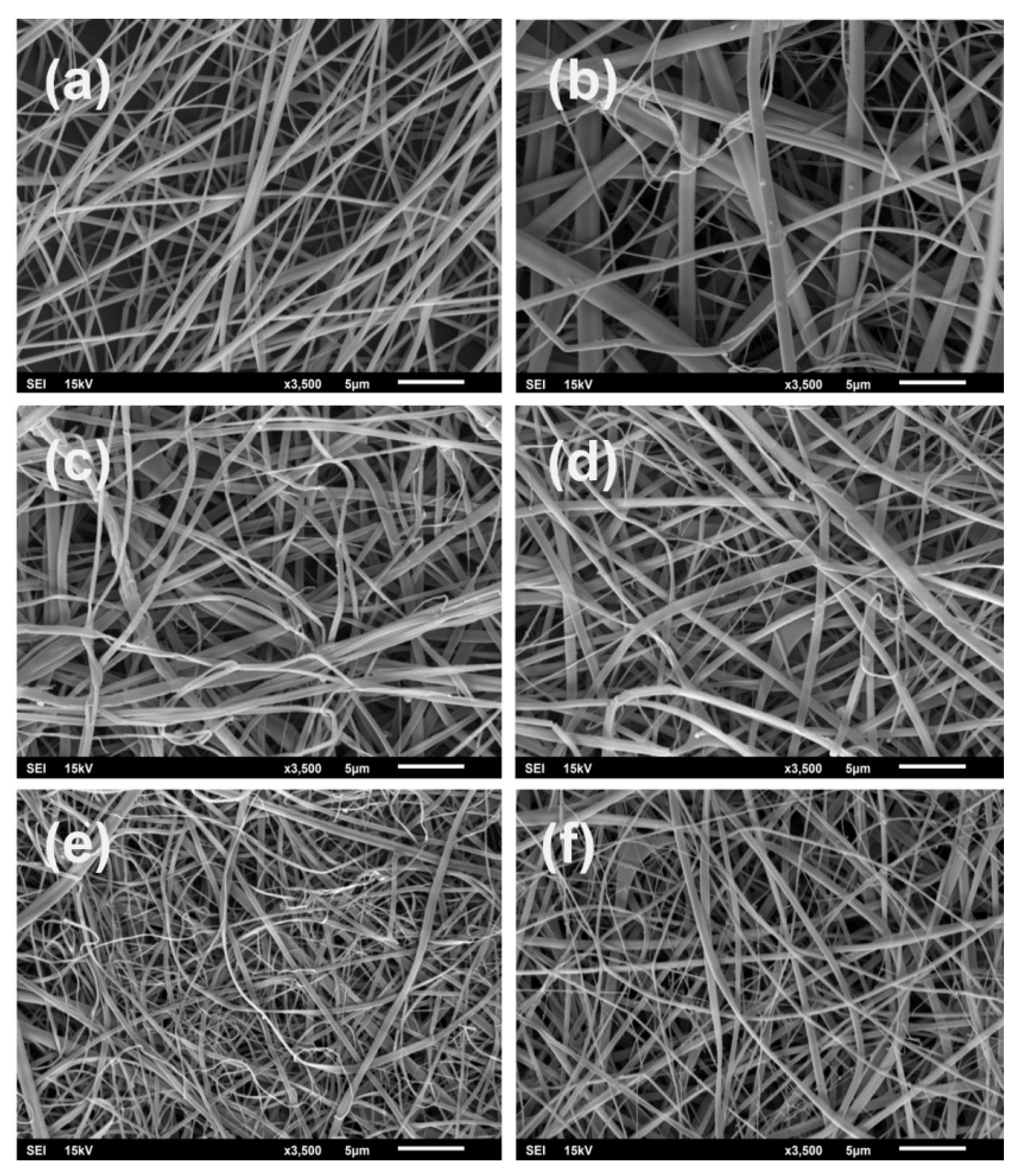 Materials 13 03580 g001