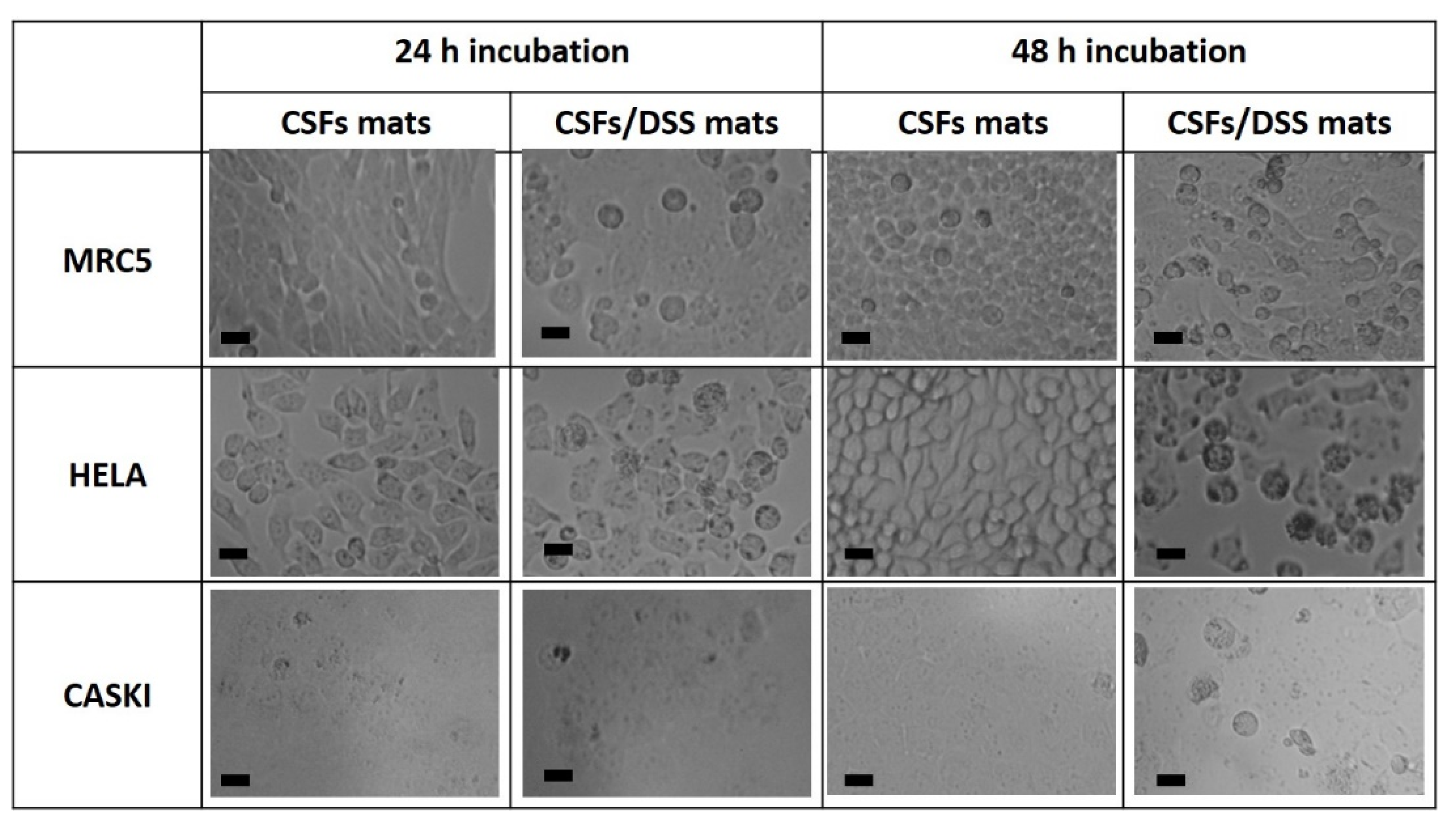 Materials 13 03580 g007