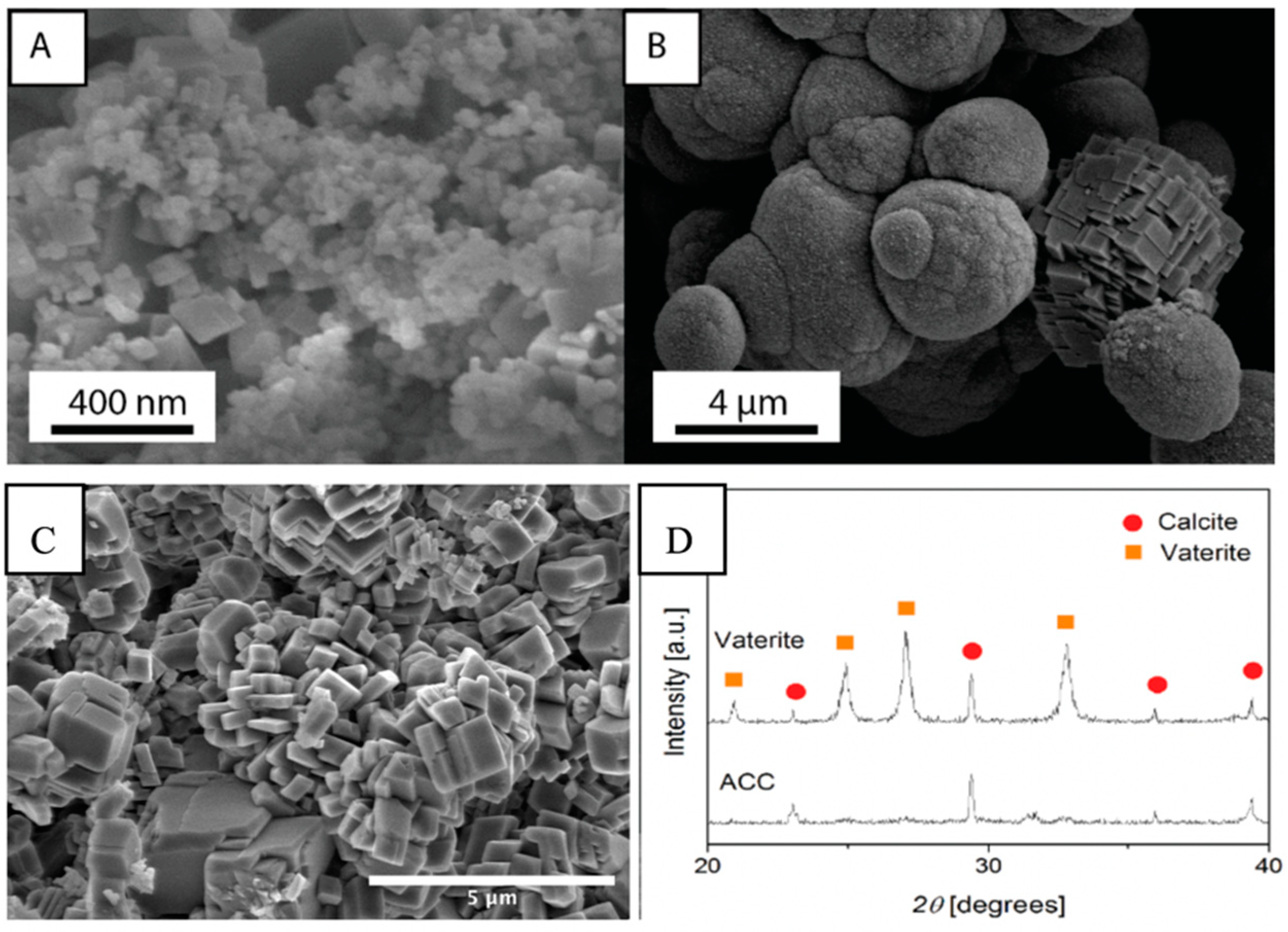 Materials 13 03582 g001 Materials 13 03582 g001