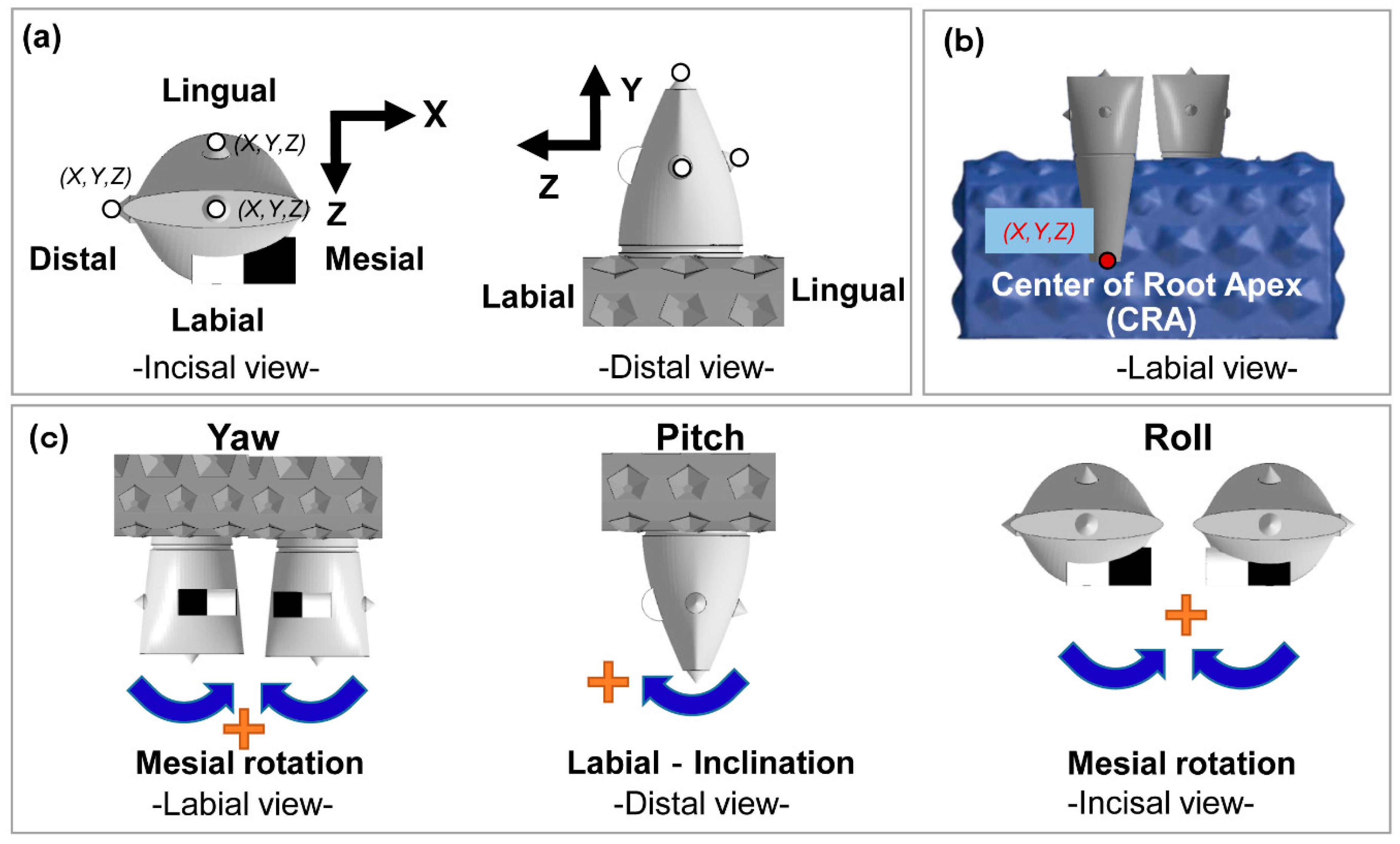 Materials 13 03588 g003