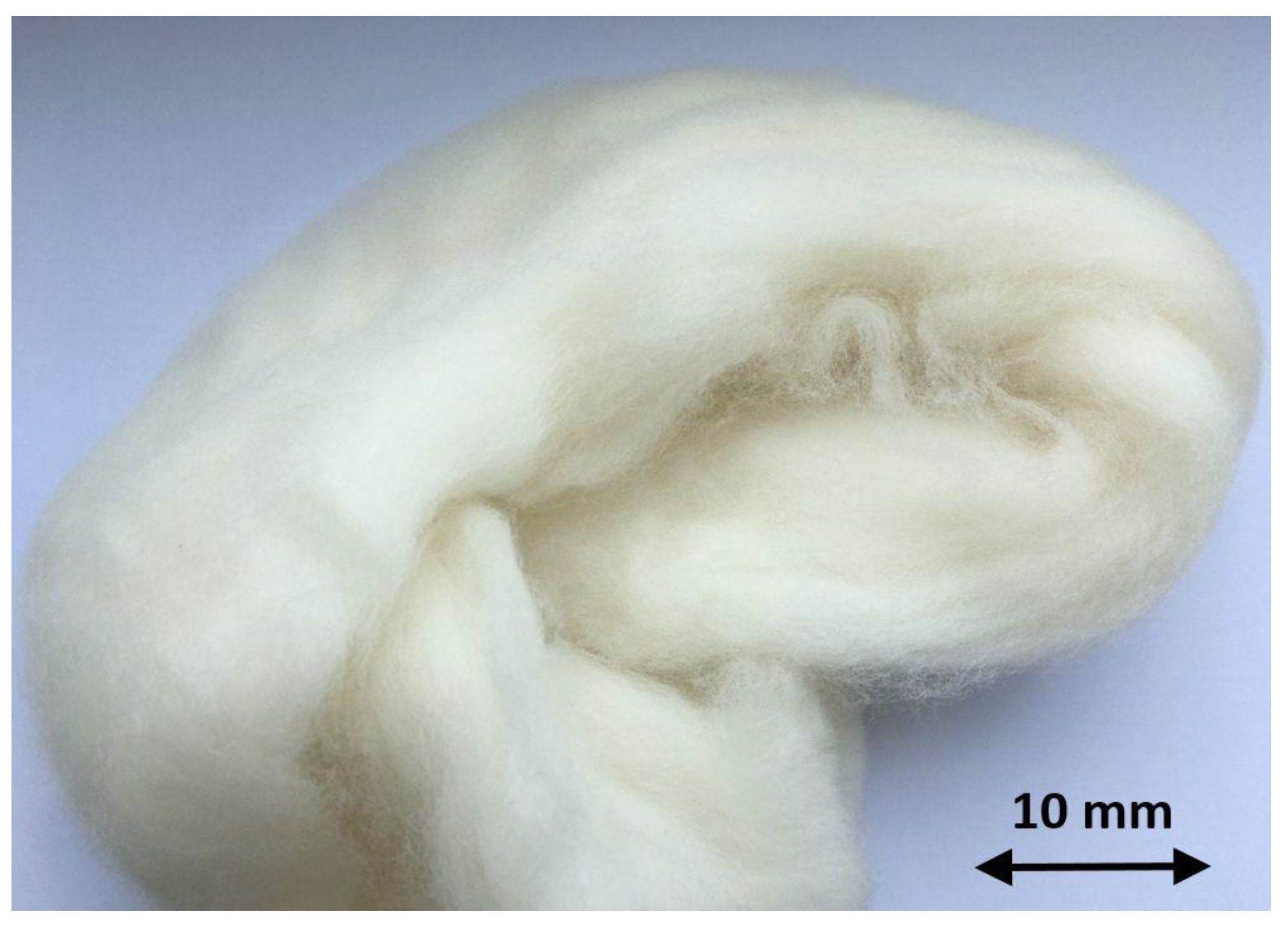 Materials 13 03590 g004 Materials 13 03590 g004