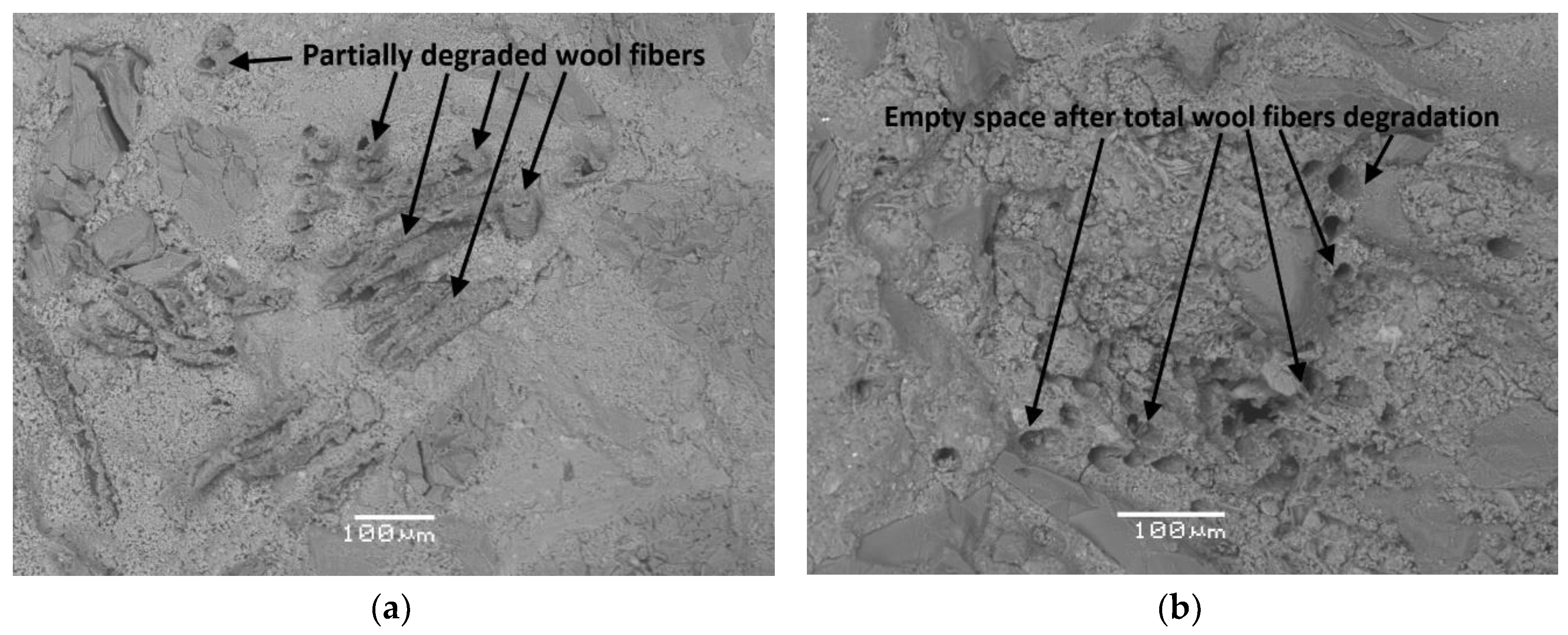 Materials 13 03590 g005 Materials 13 03590 g005