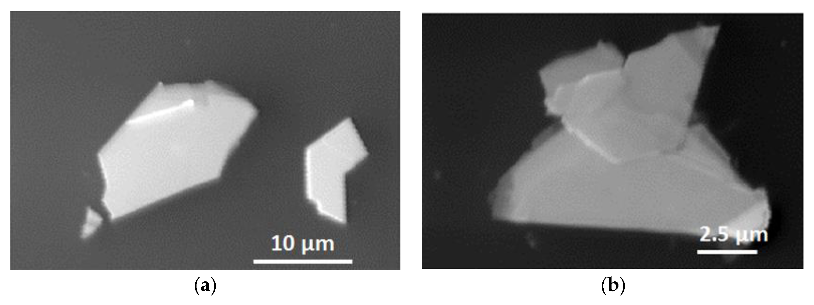 Materials 13 03595 g002a Materials 13 03595 g002a