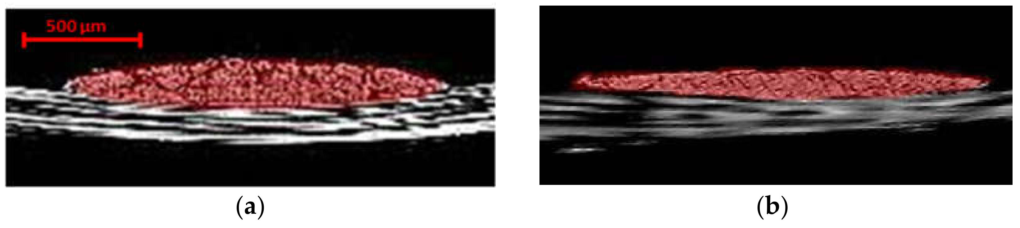 Materials 13 03606 g012 Materials 13 03606 g012