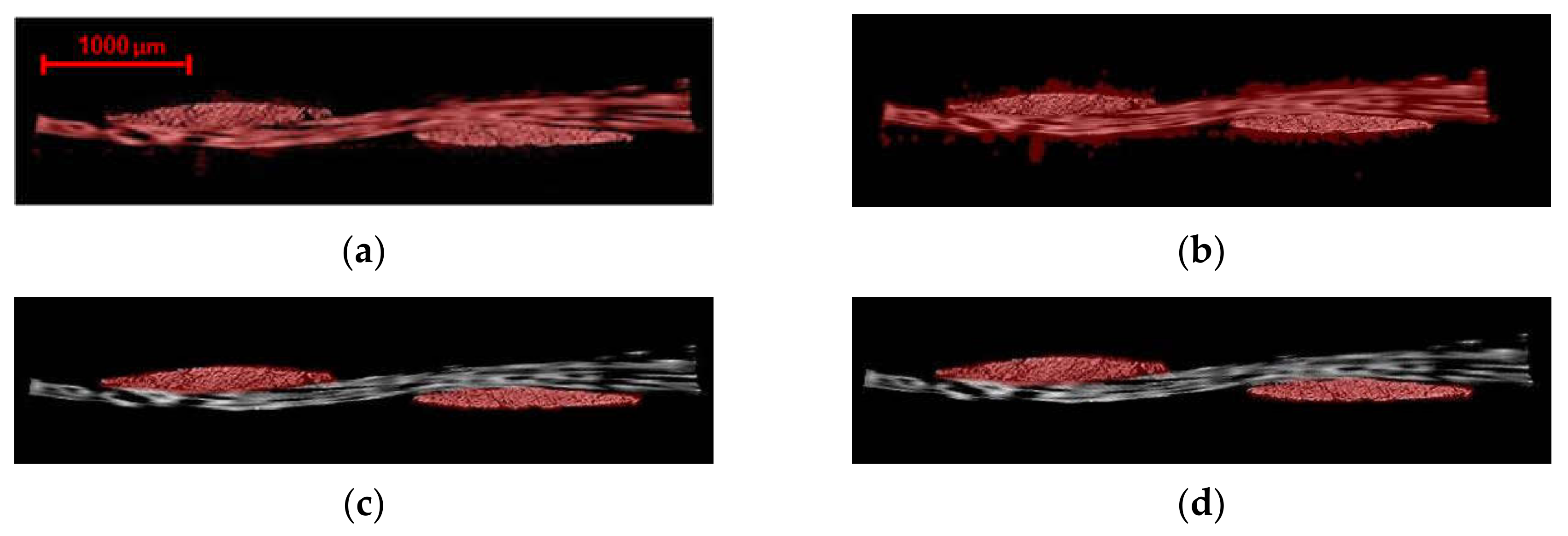 Materials 13 03606 g013 Materials 13 03606 g013