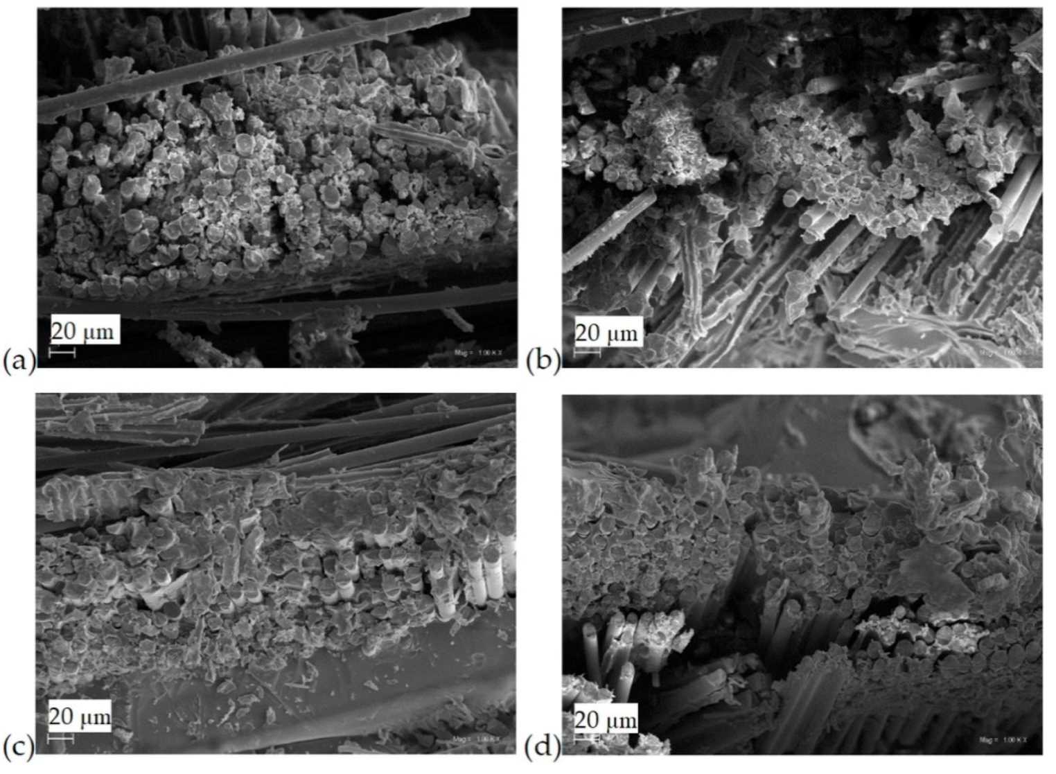 Materials 13 03611 g001