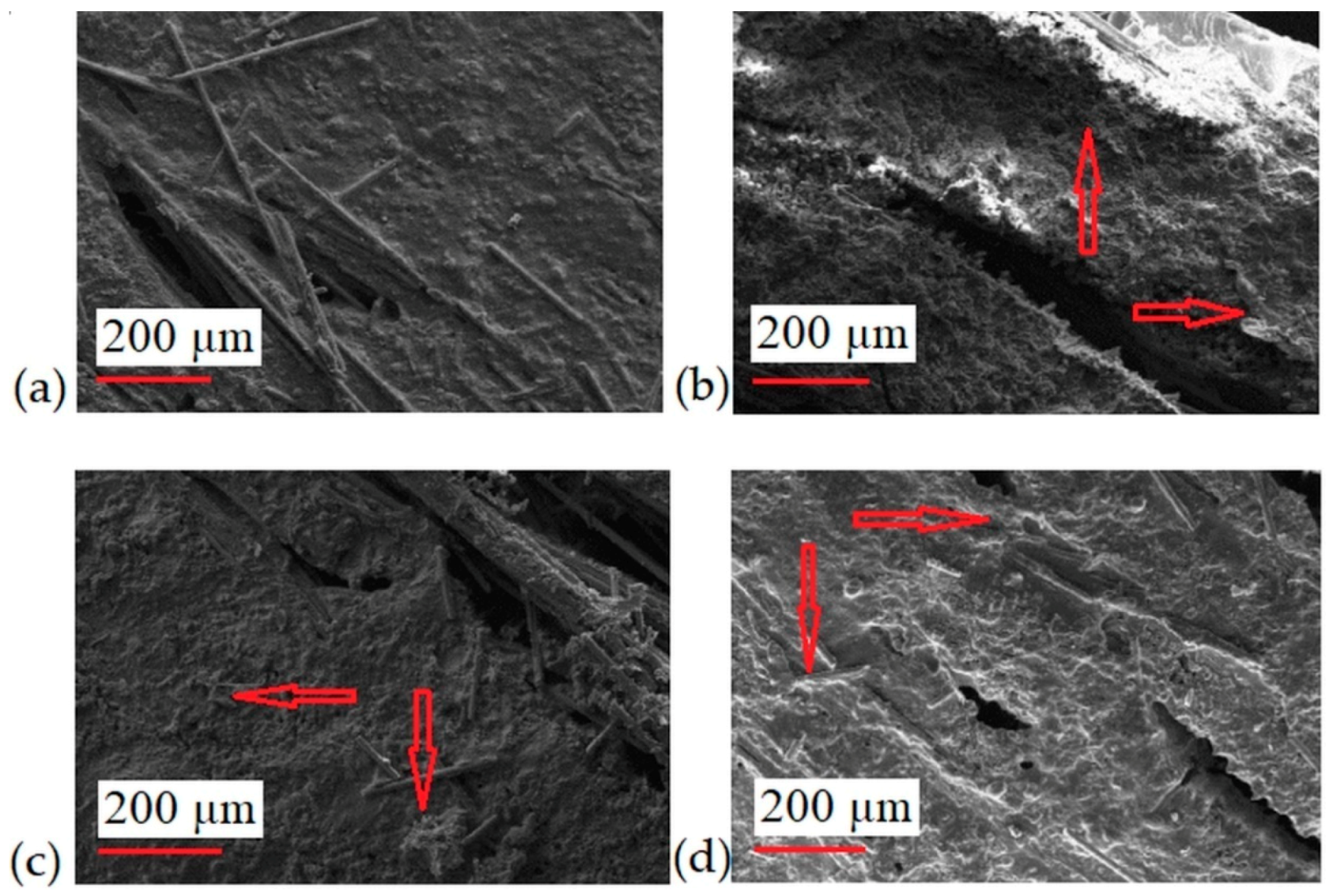 Materials 13 03611 g002