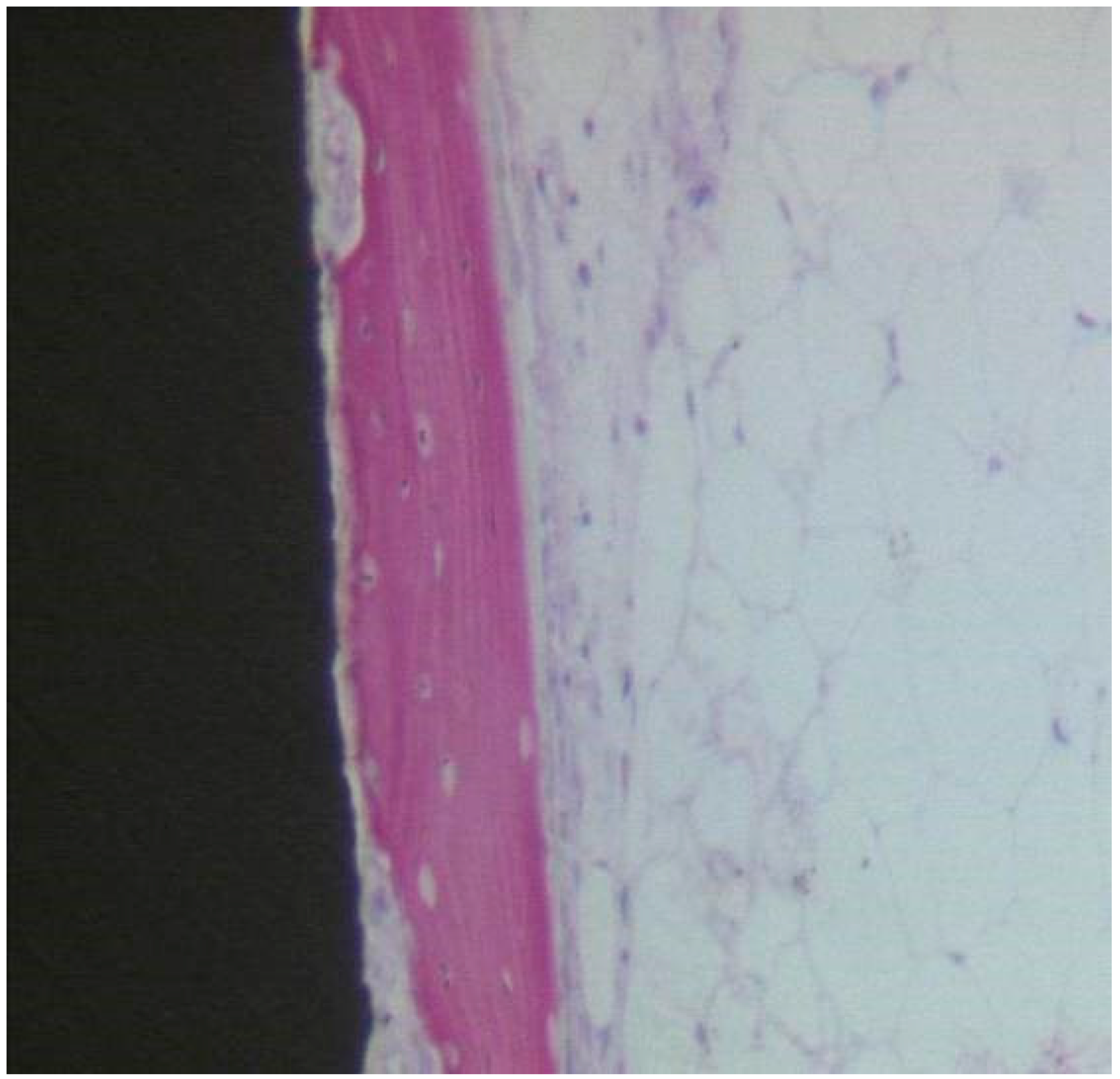 Materials 13 03613 g008 Materials 13 03613 g008