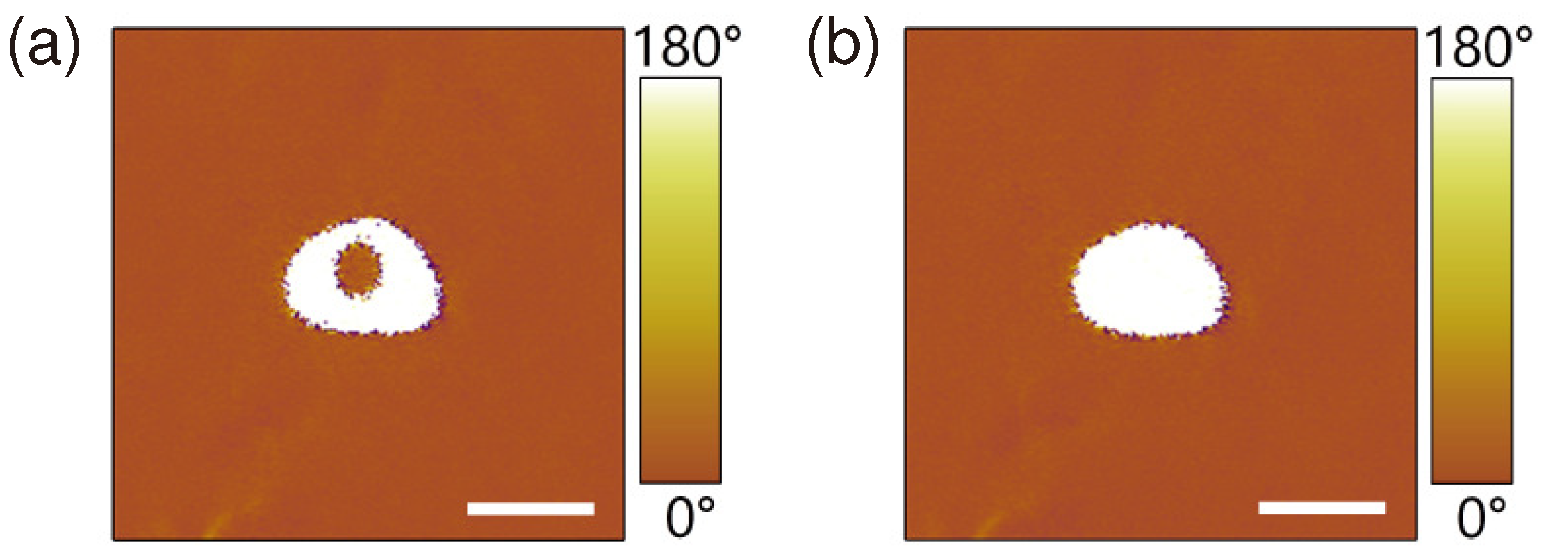Materials 13 03617 g003 Materials 13 03617 g003
