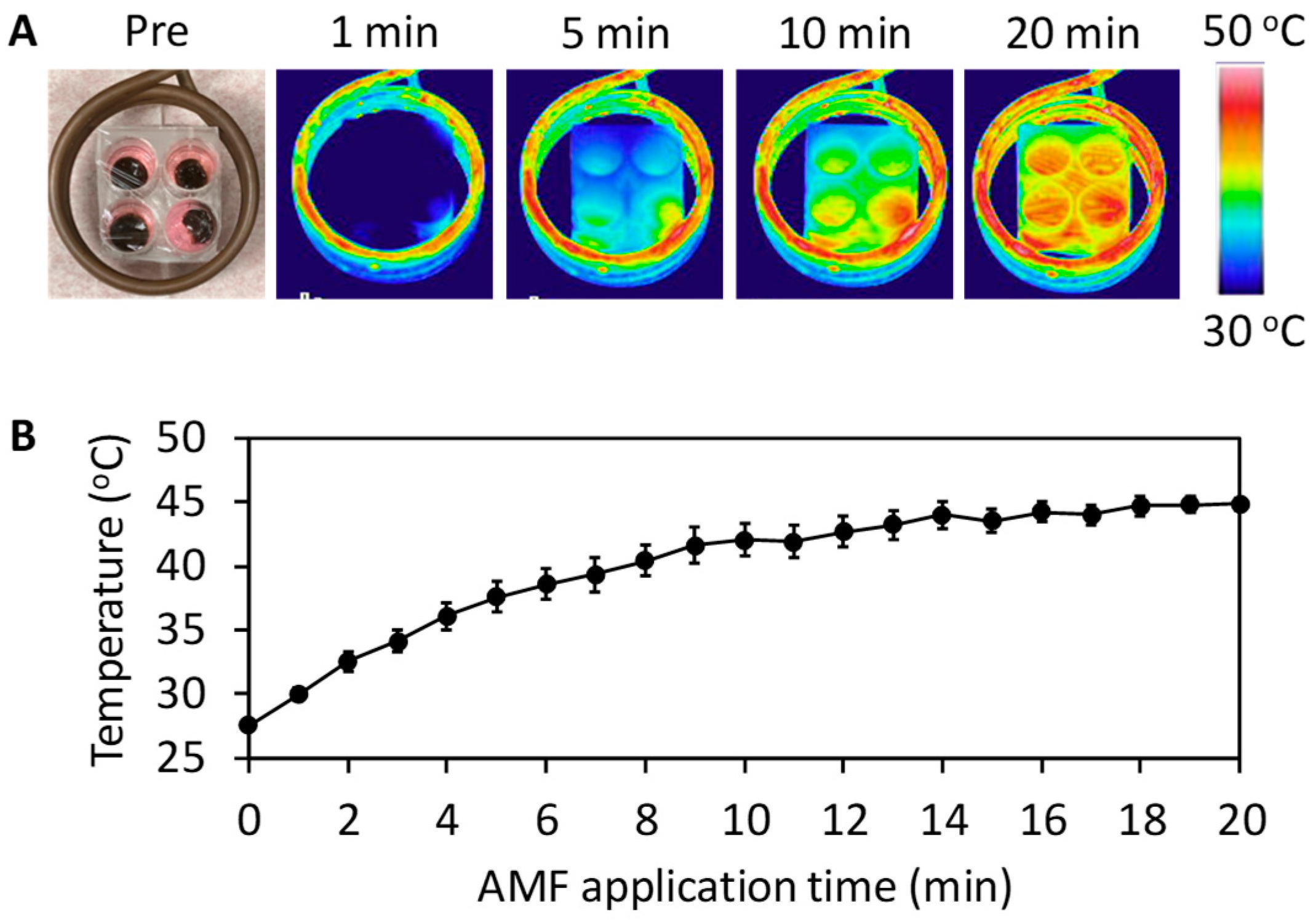 Materials 13 03637 g005