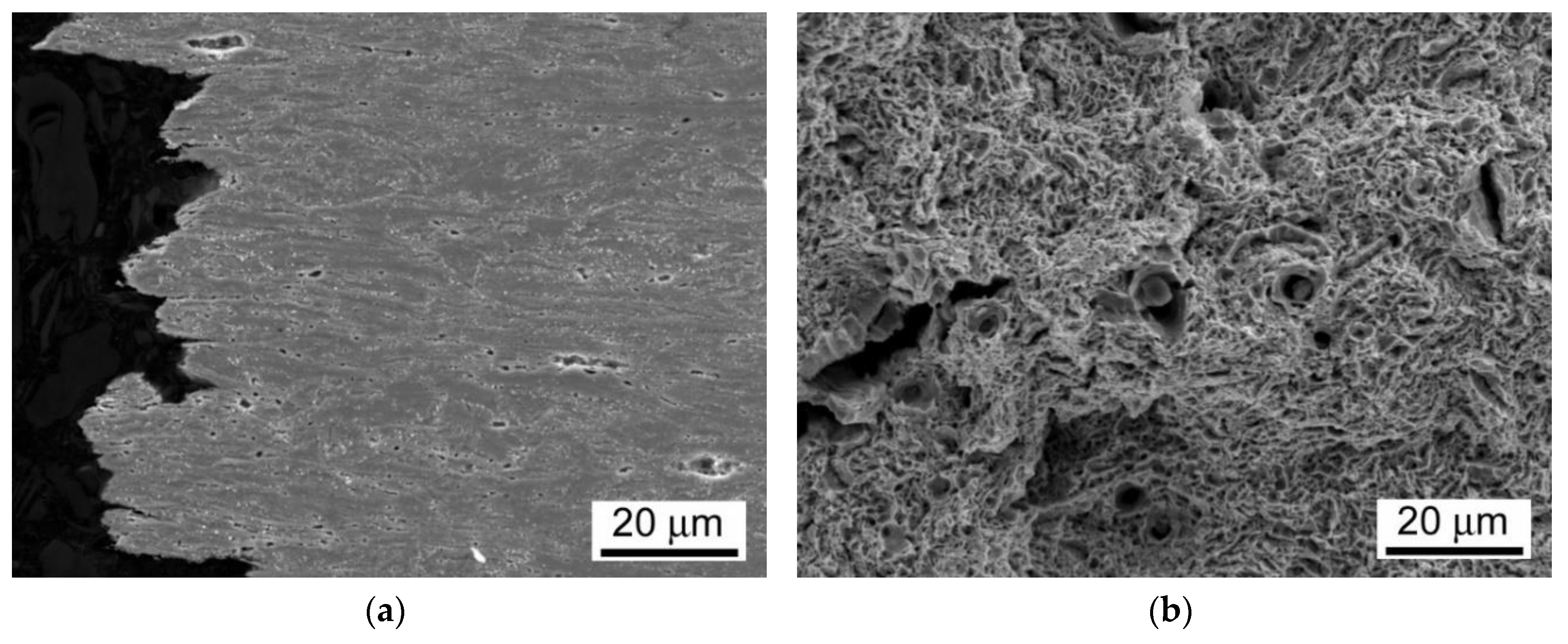 Materials 13 03653 g013 Materials 13 03653 g013