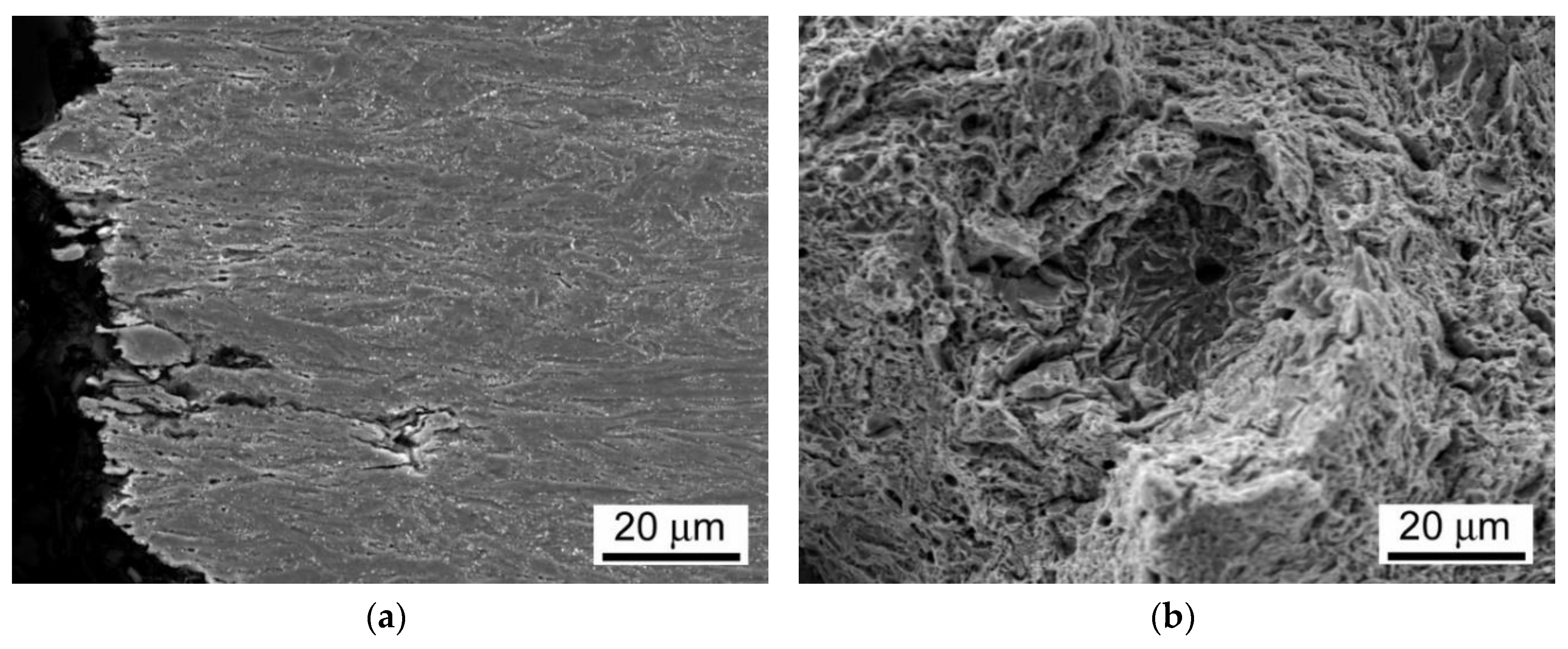 Materials 13 03653 g014 Materials 13 03653 g014