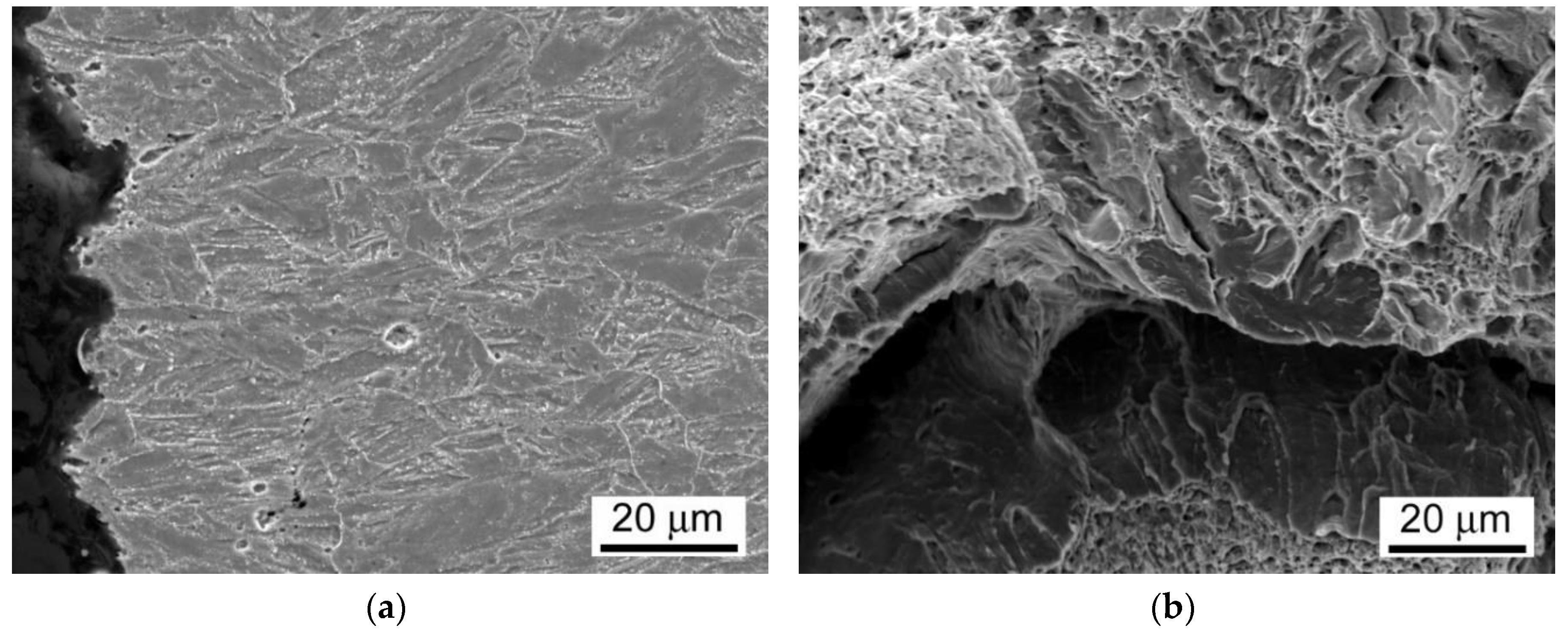 Materials 13 03653 g015 Materials 13 03653 g015