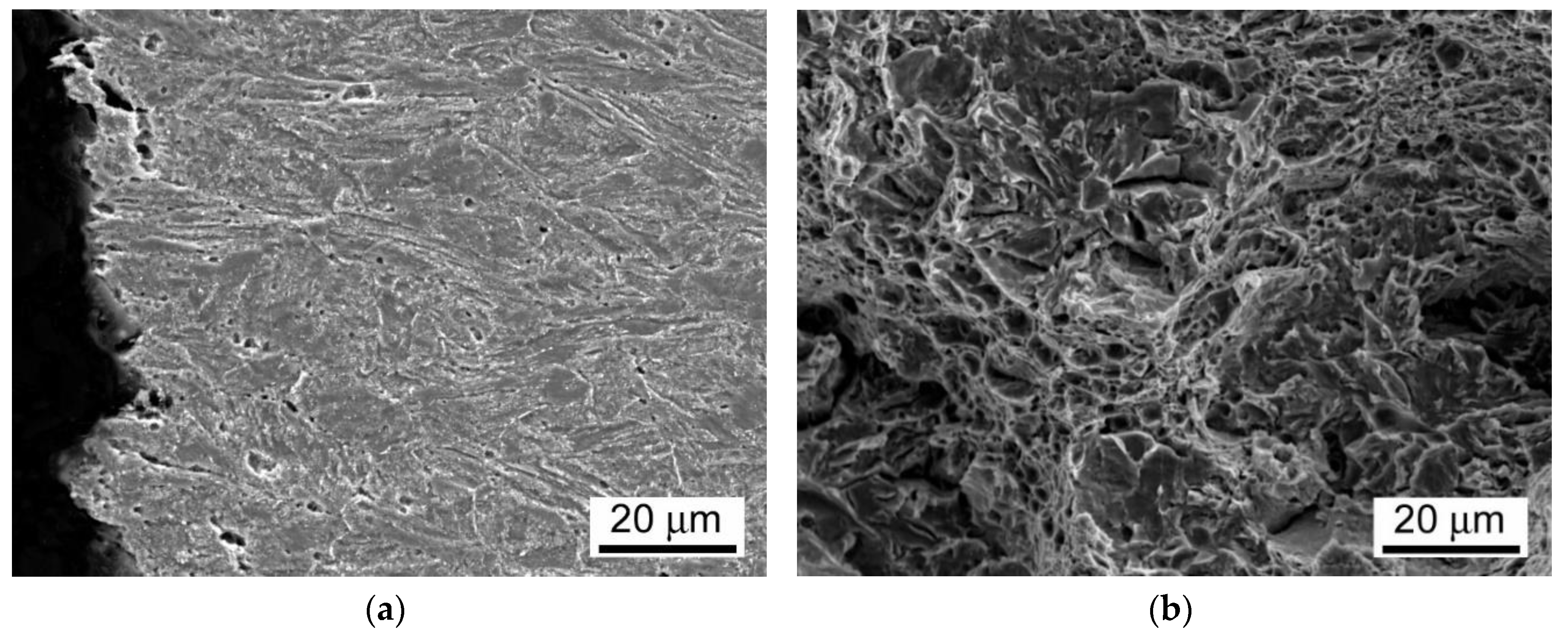 Materials 13 03653 g016 Materials 13 03653 g016