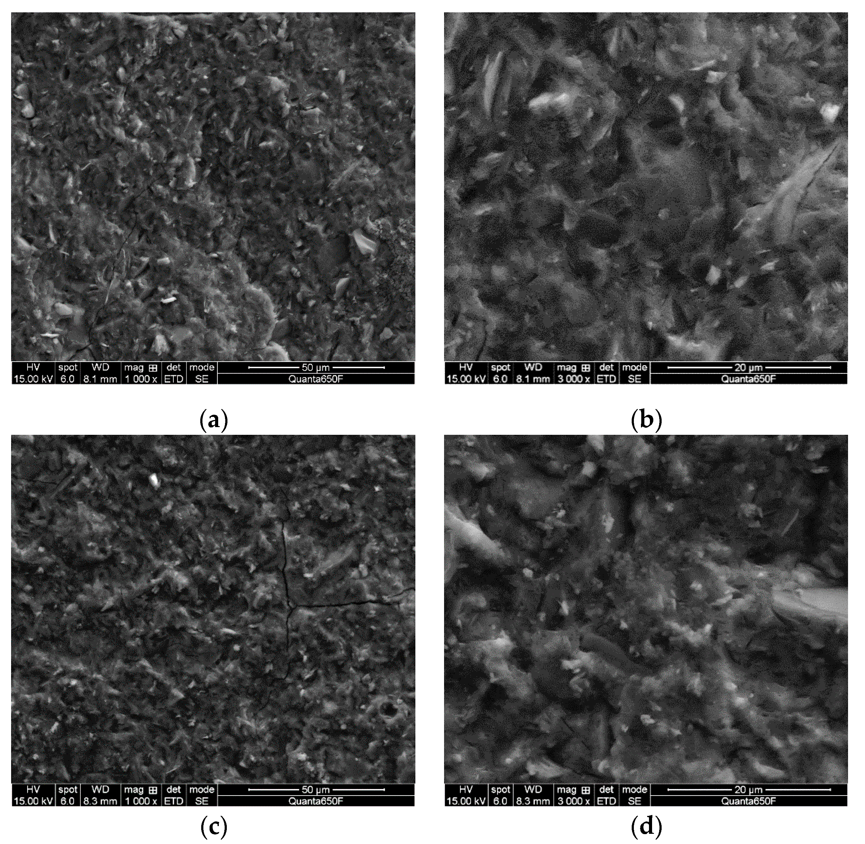 Materials 13 03663 g004 Materials 13 03663 g004