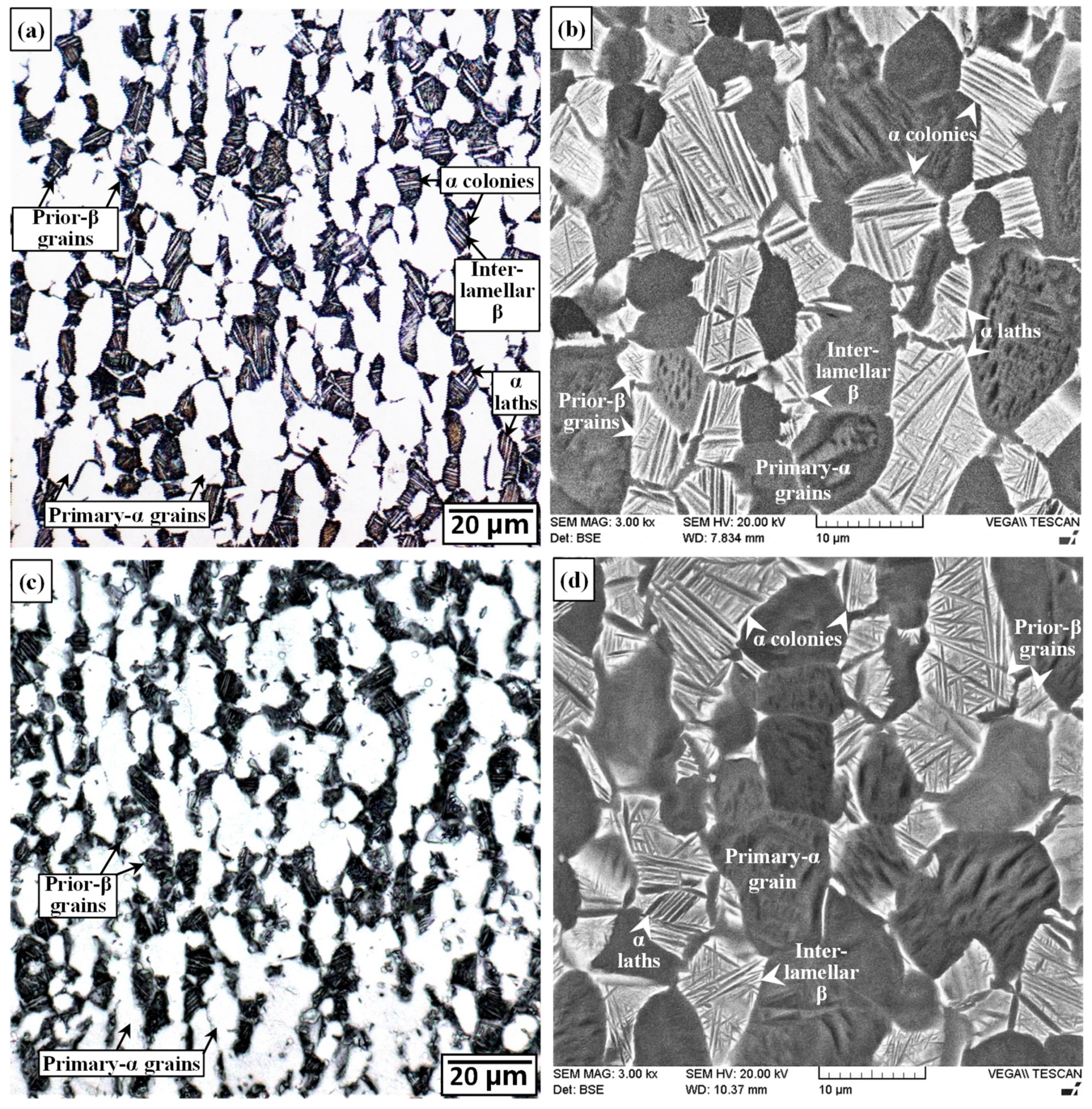 Materials 13 03664 g005