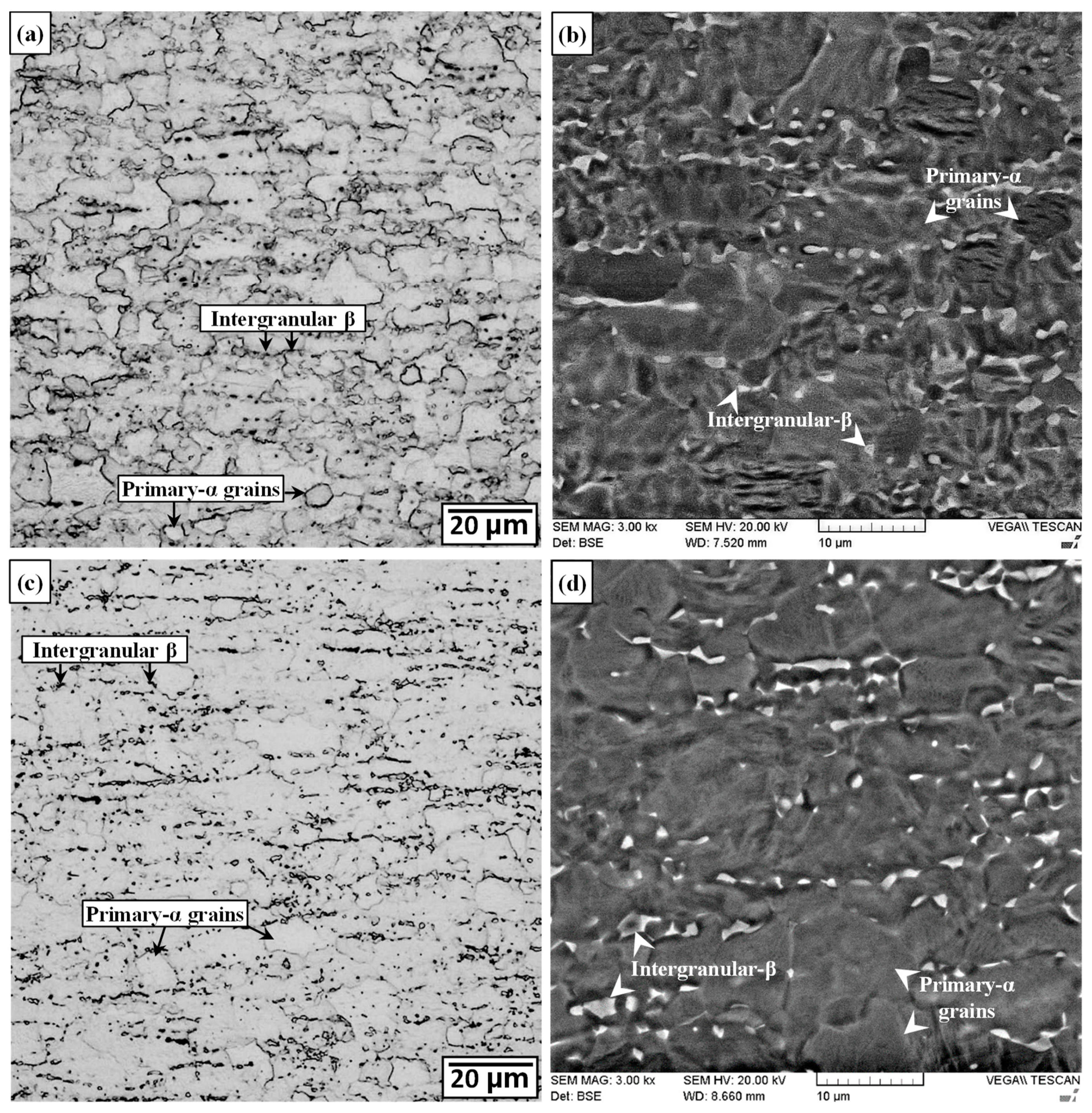 Materials 13 03664 g006