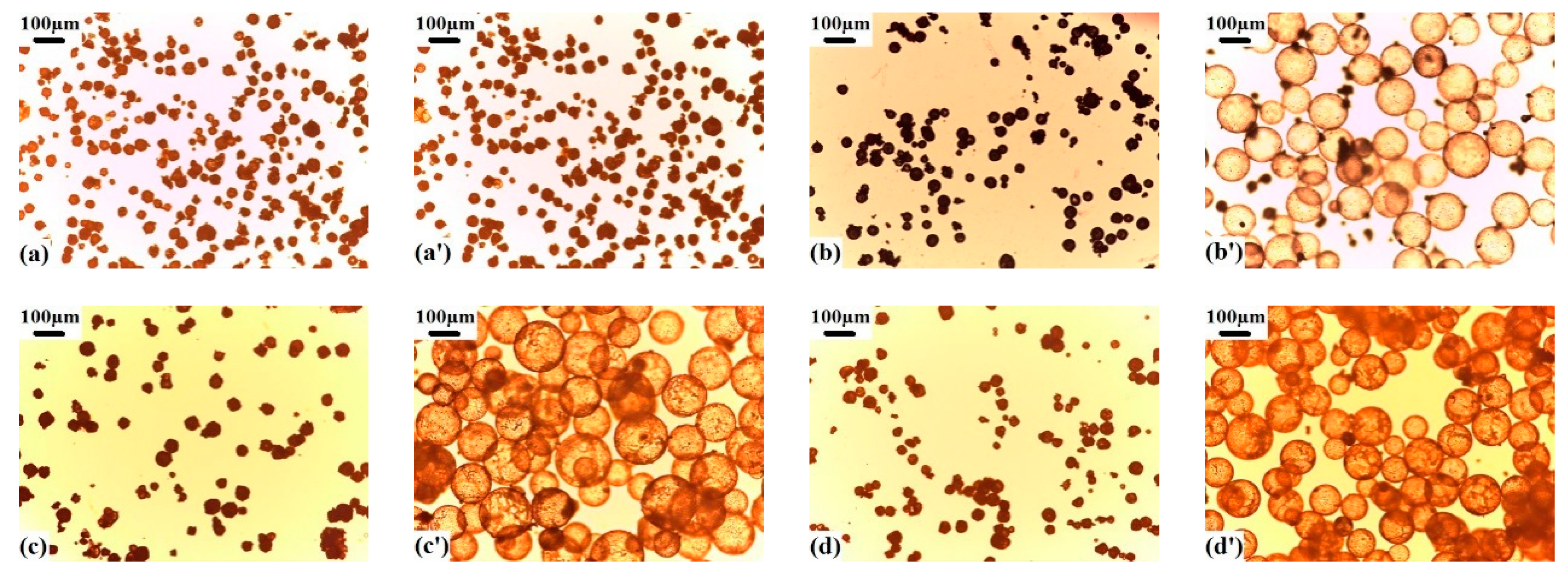 Materials 13 03673 g003