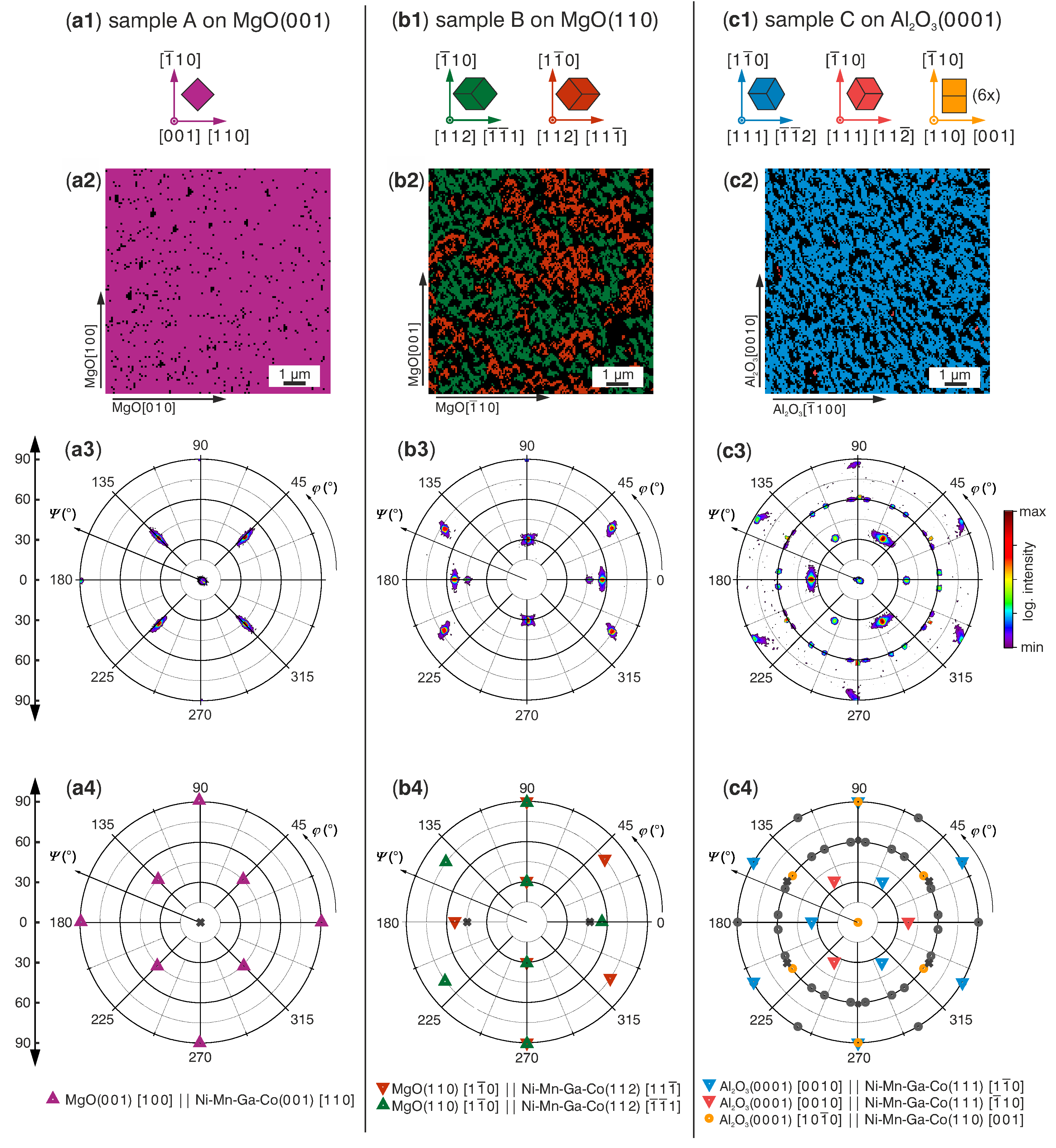 Materials 13 03674 g001