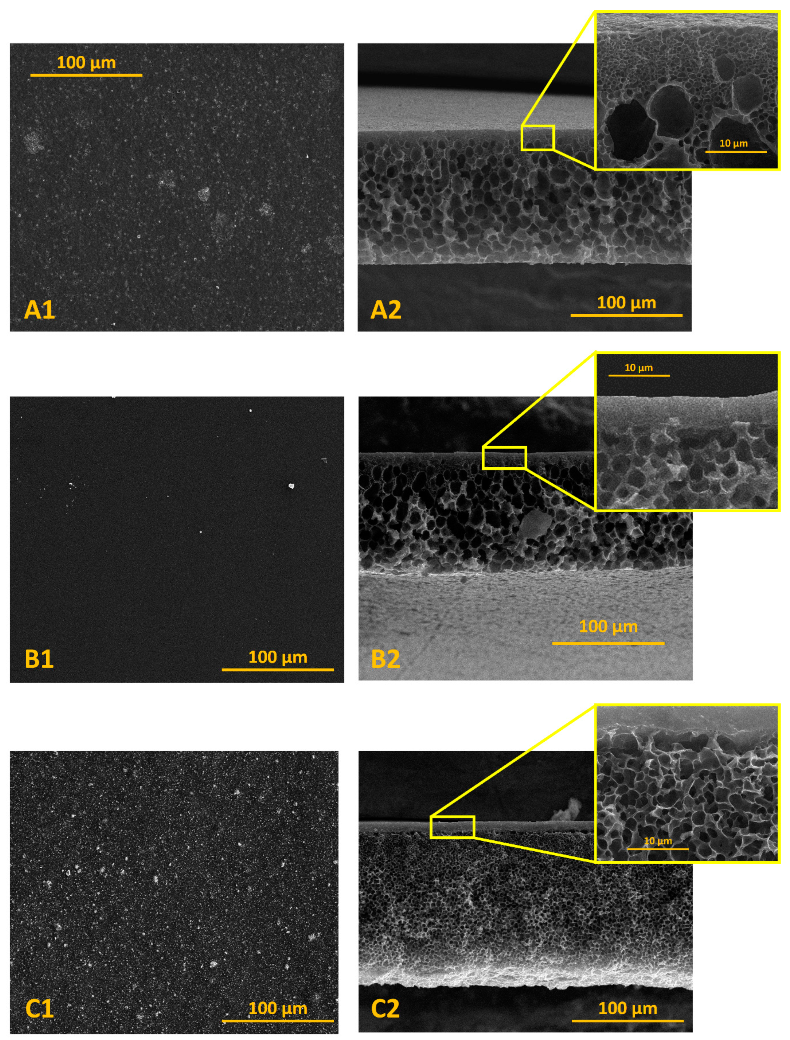 Materials 13 03676 g007 Materials 13 03676 g007