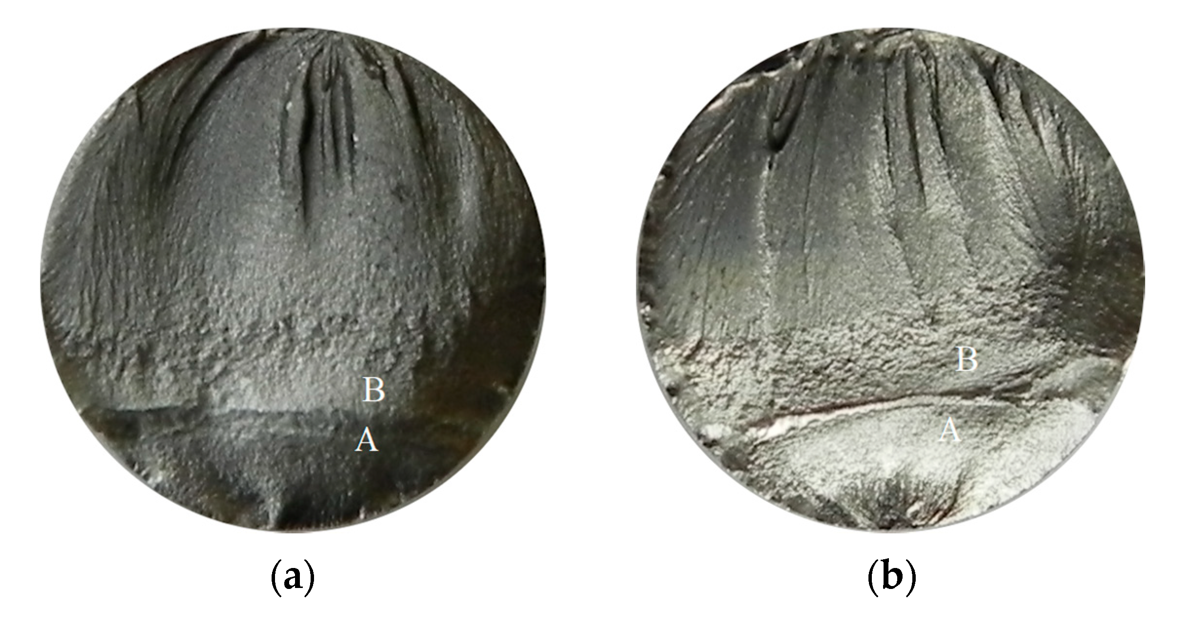 Materials 13 03681 g004