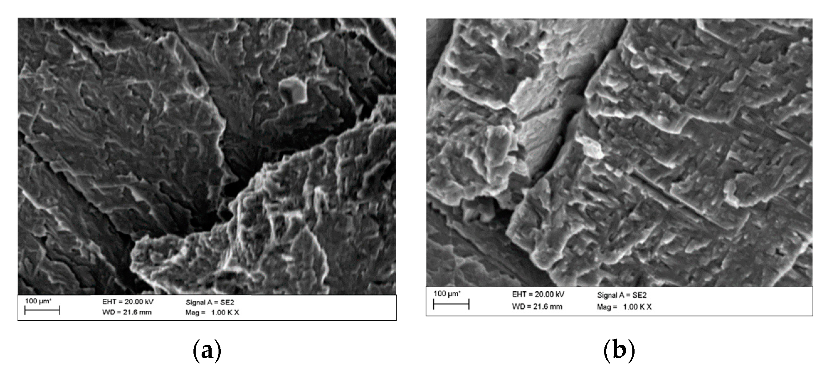 Materials 13 03681 g006