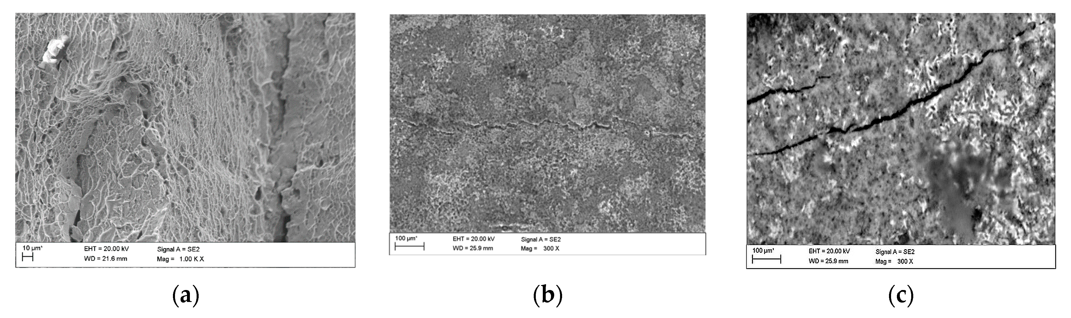 Materials 13 03681 g007