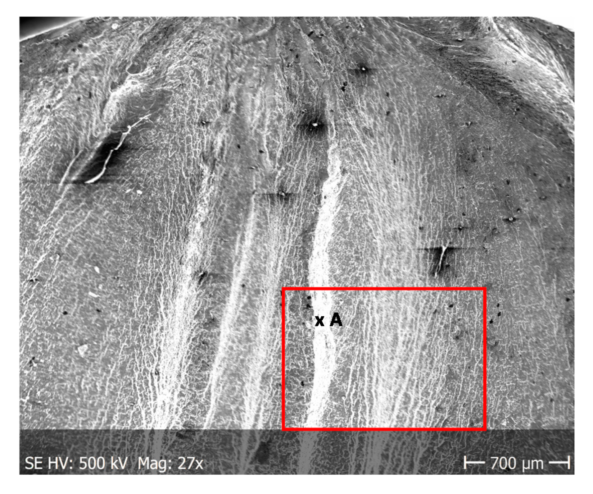 Materials 13 03681 g008