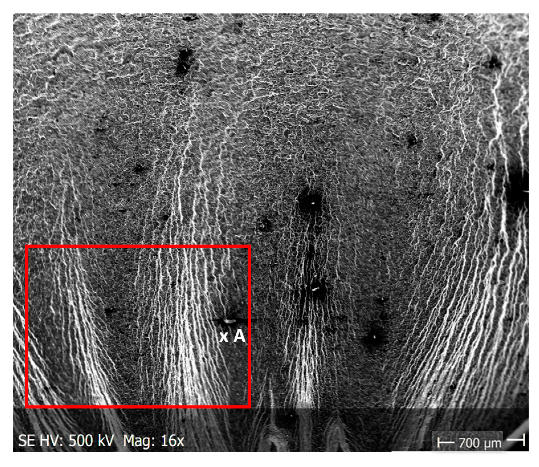 Materials 13 03681 g010