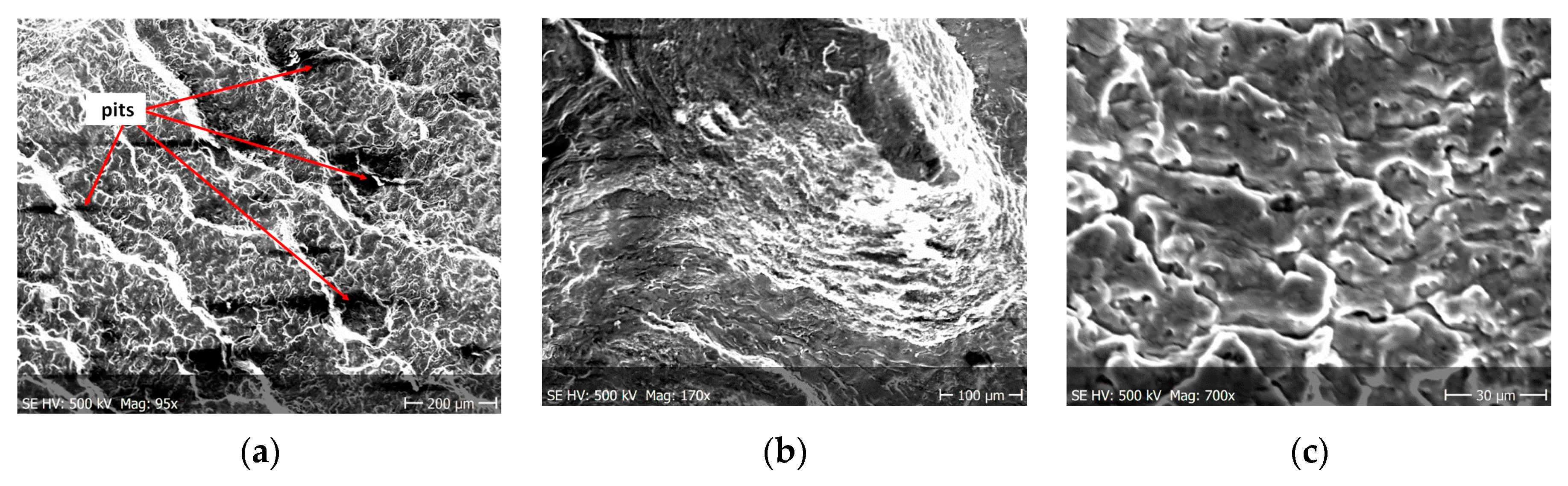 Materials 13 03681 g012