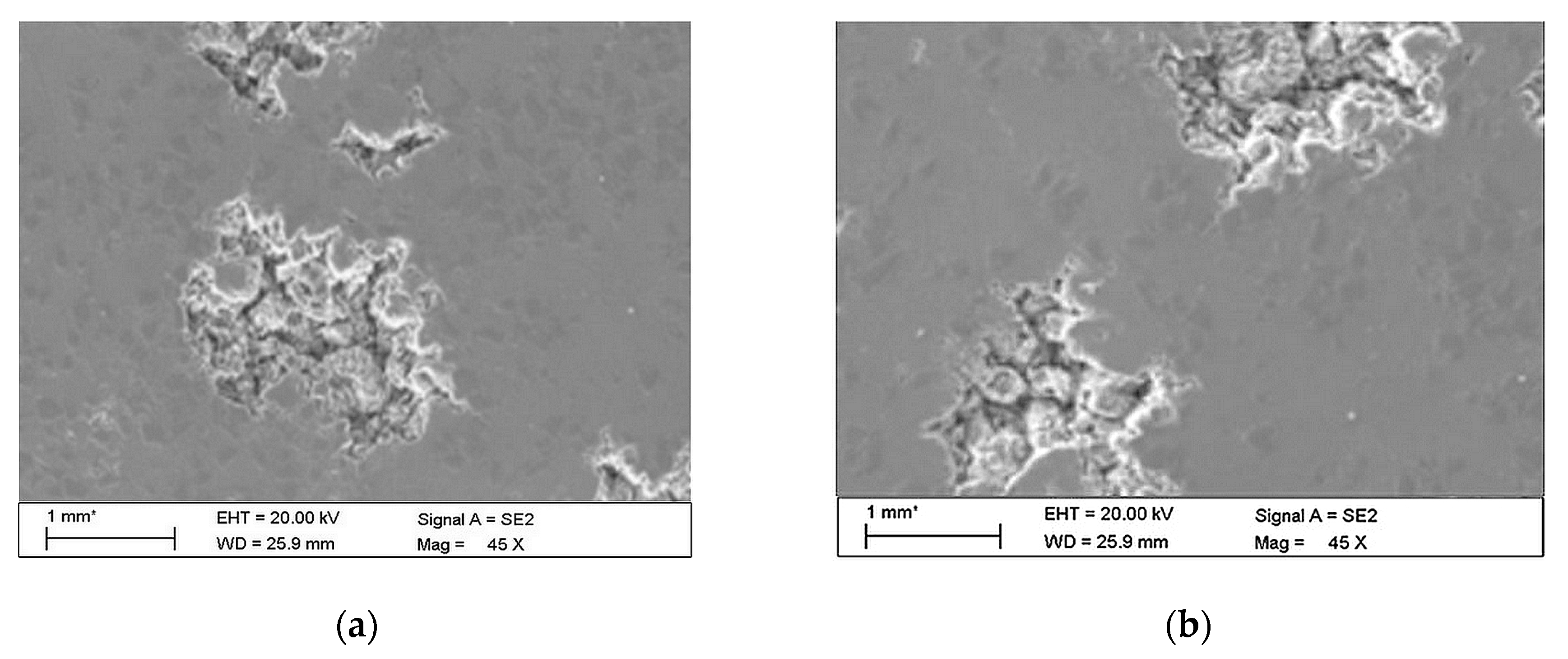 Materials 13 03681 g015