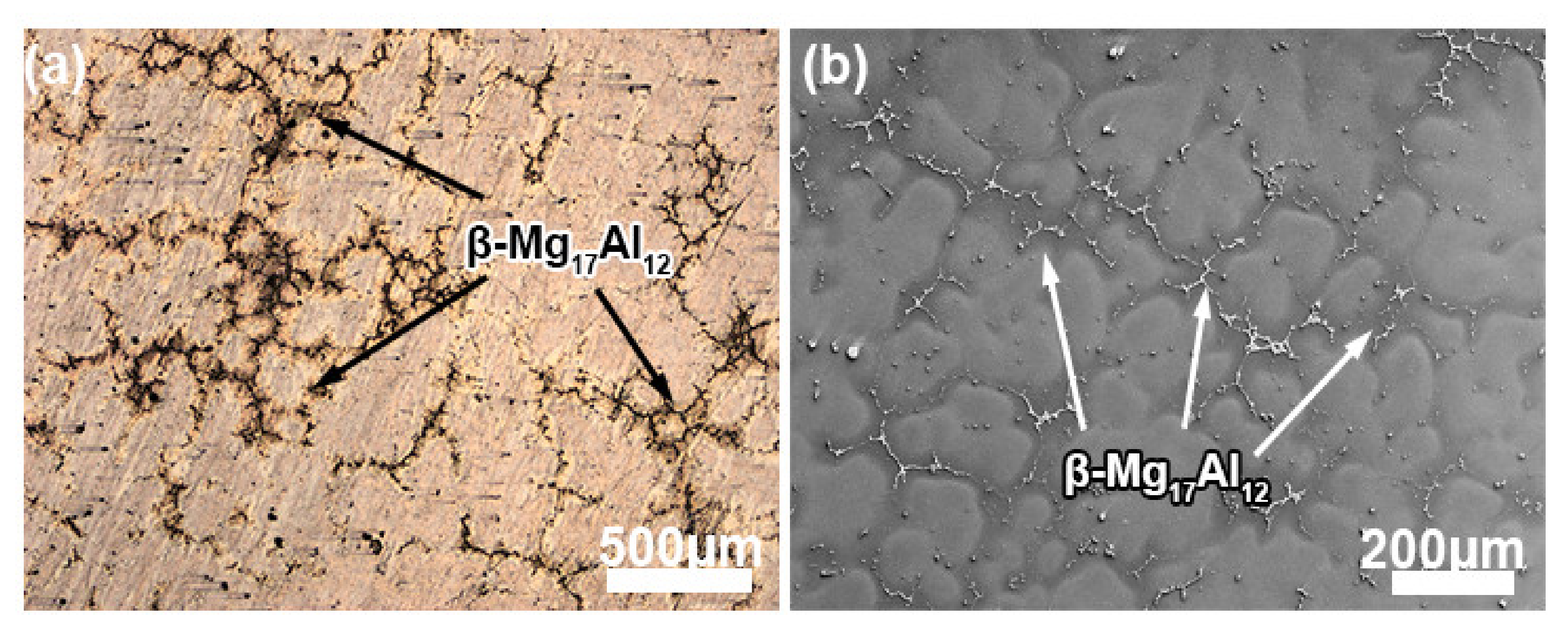 Materials 13 03690 g002 Materials 13 03690 g002