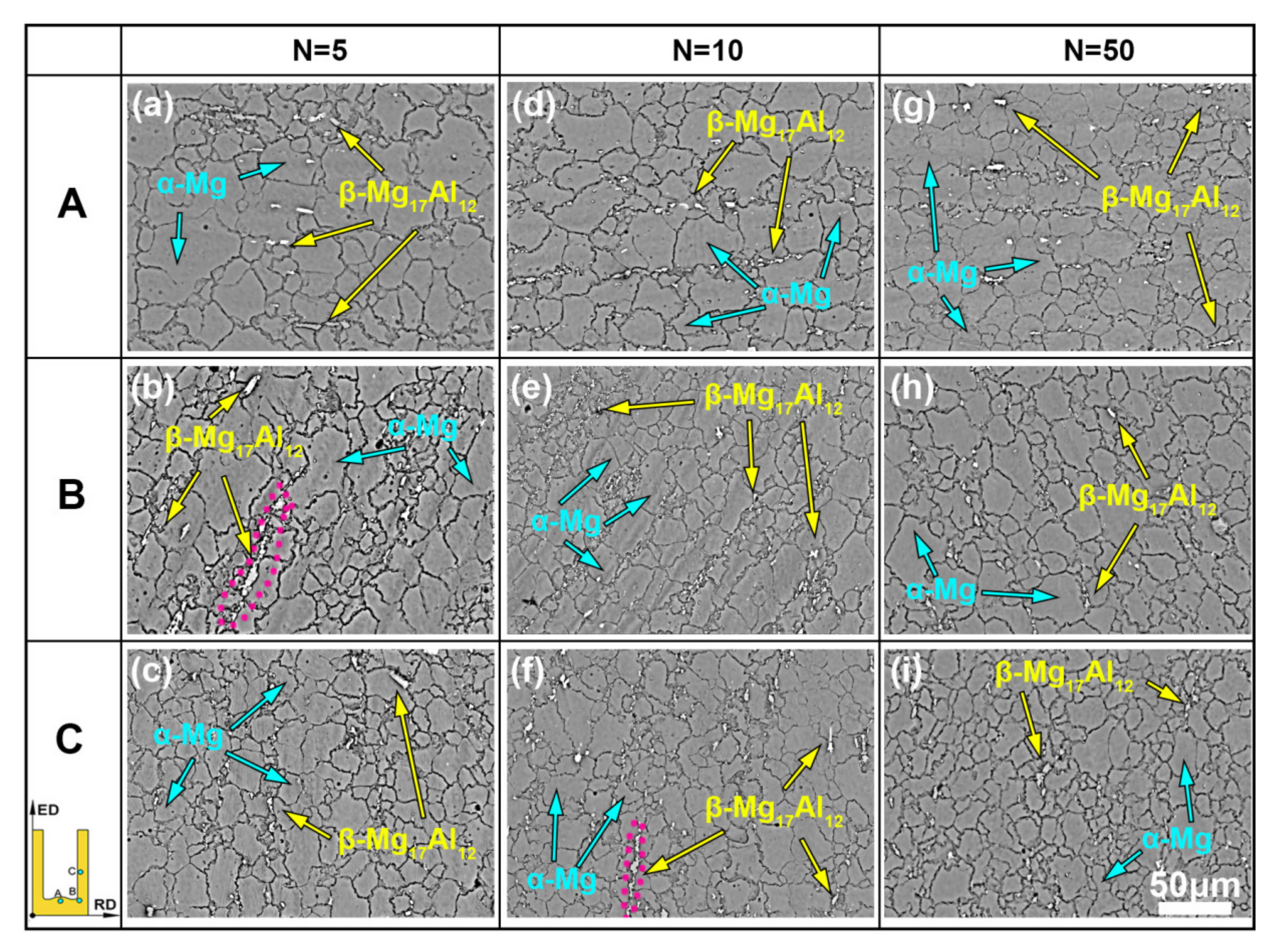 Materials 13 03690 g004 Materials 13 03690 g004