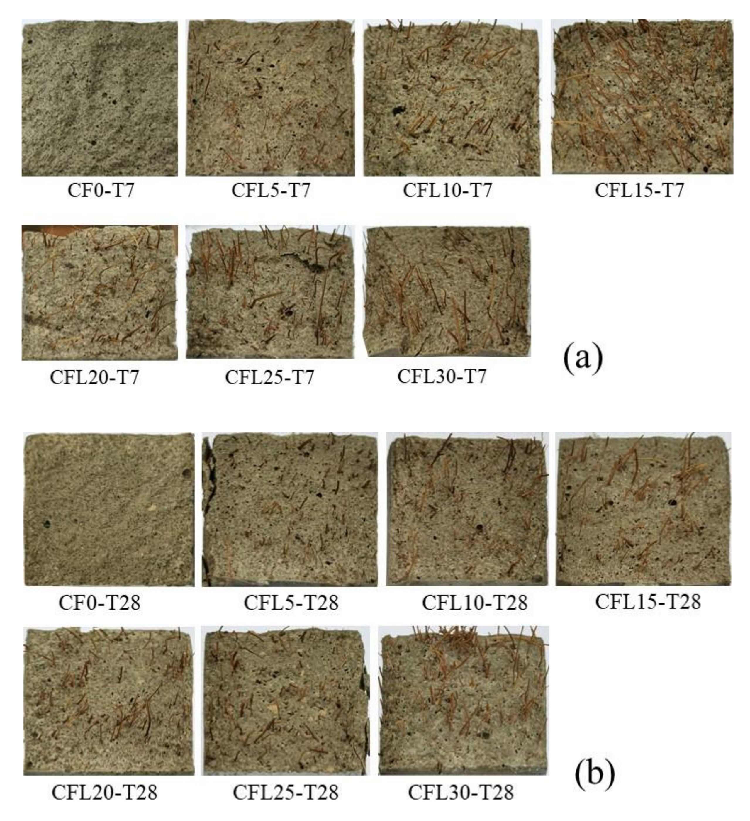 Materials 13 03692 g006 Materials 13 03692 g006